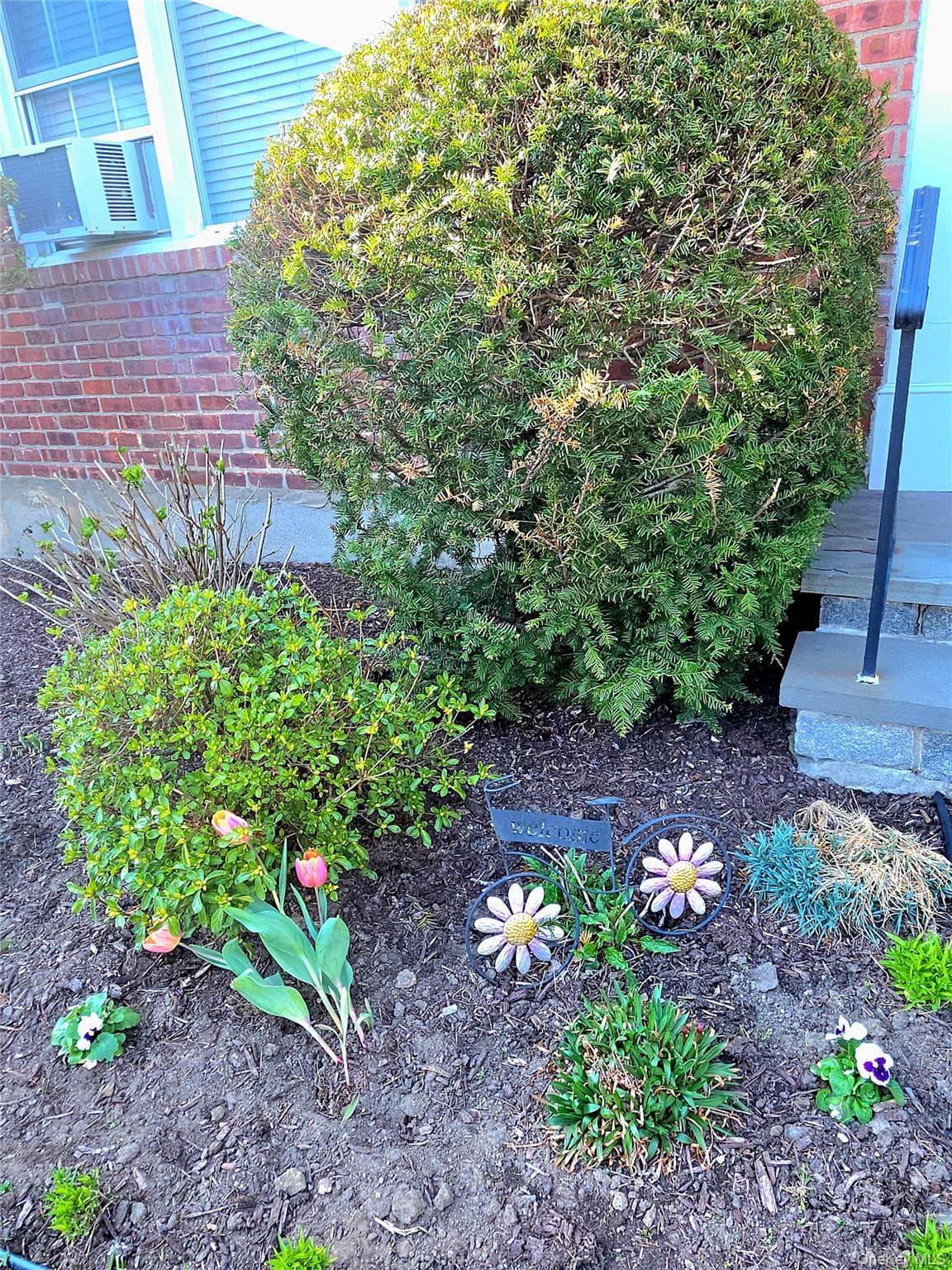 Photo 24