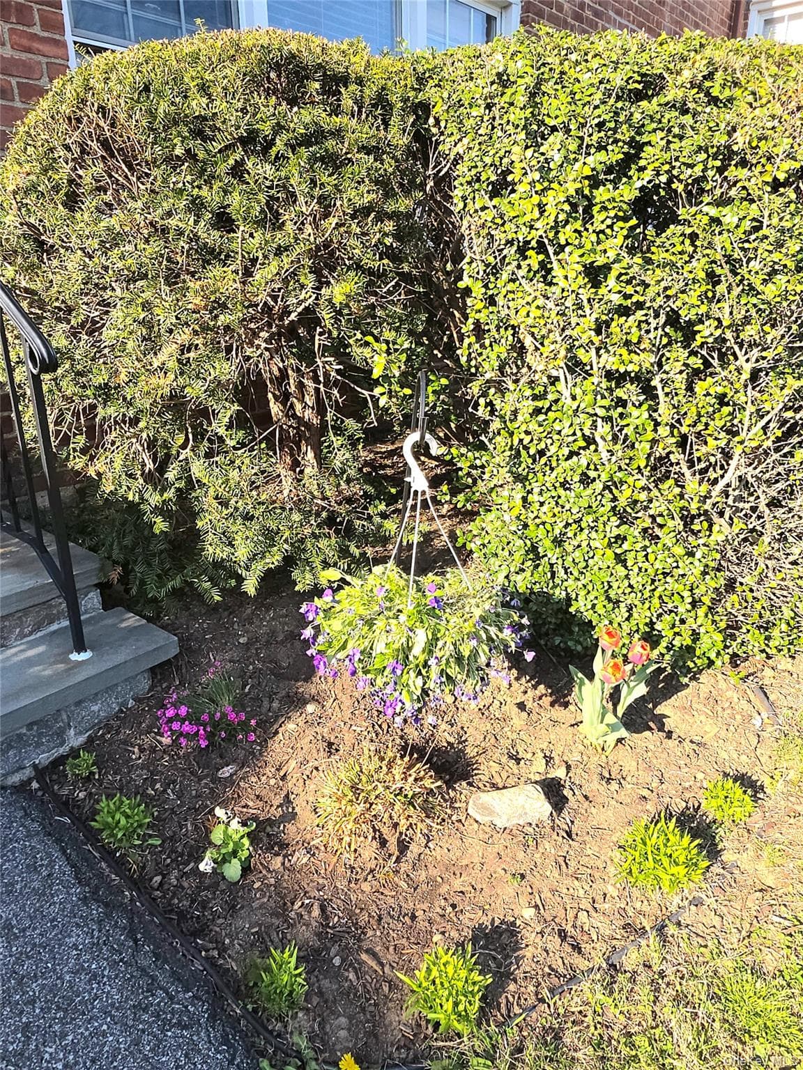 Photo 25