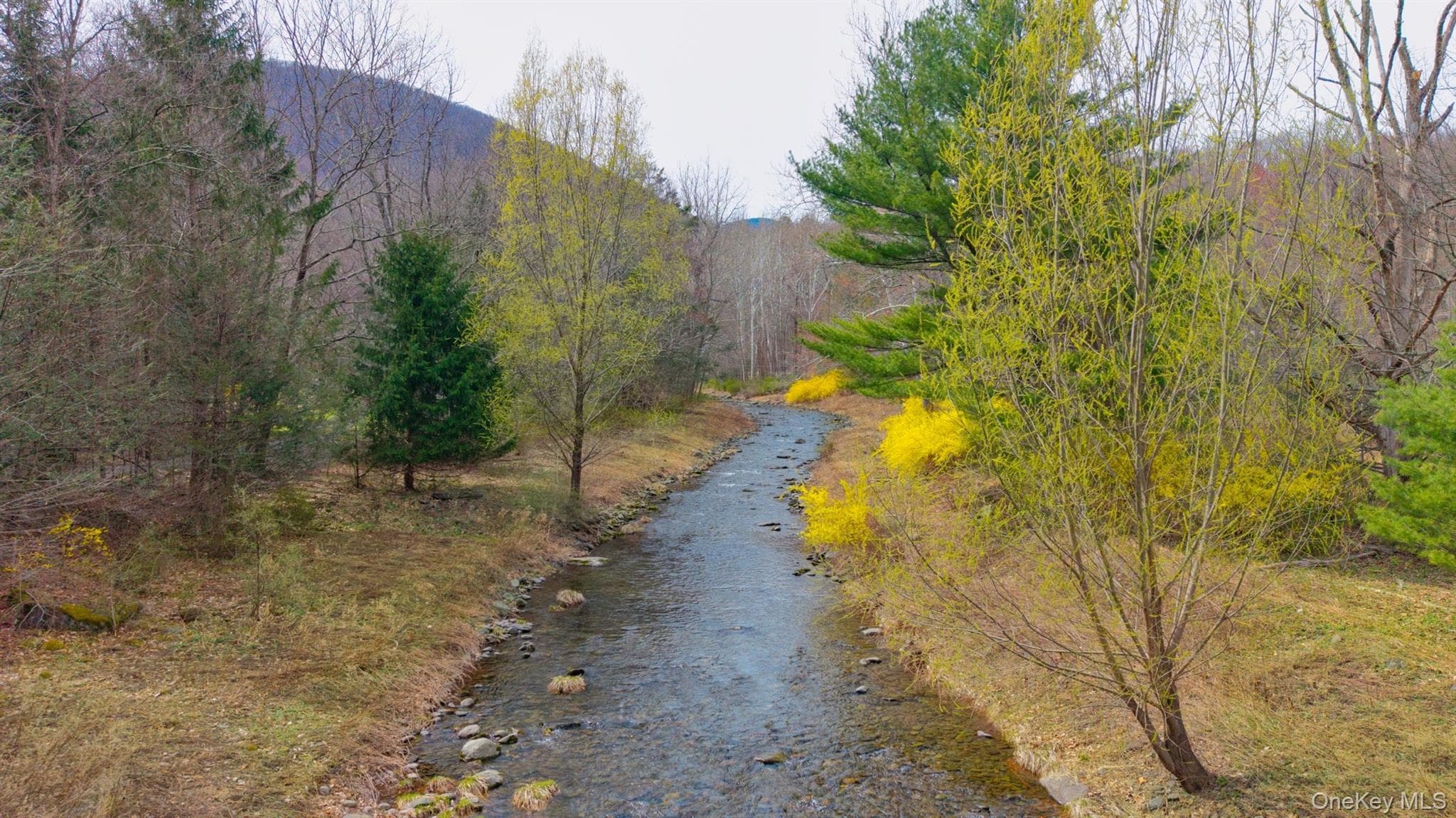 Photo 47
