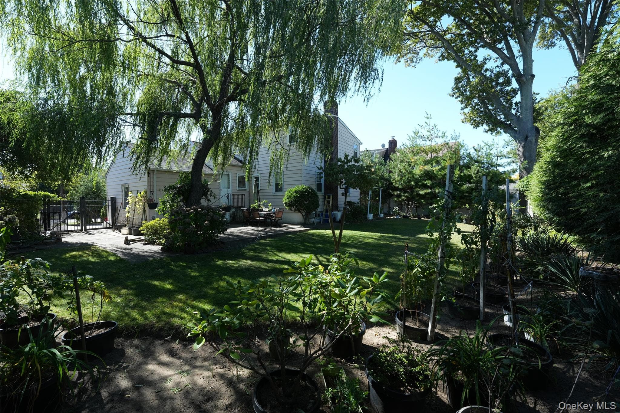 Photo 20