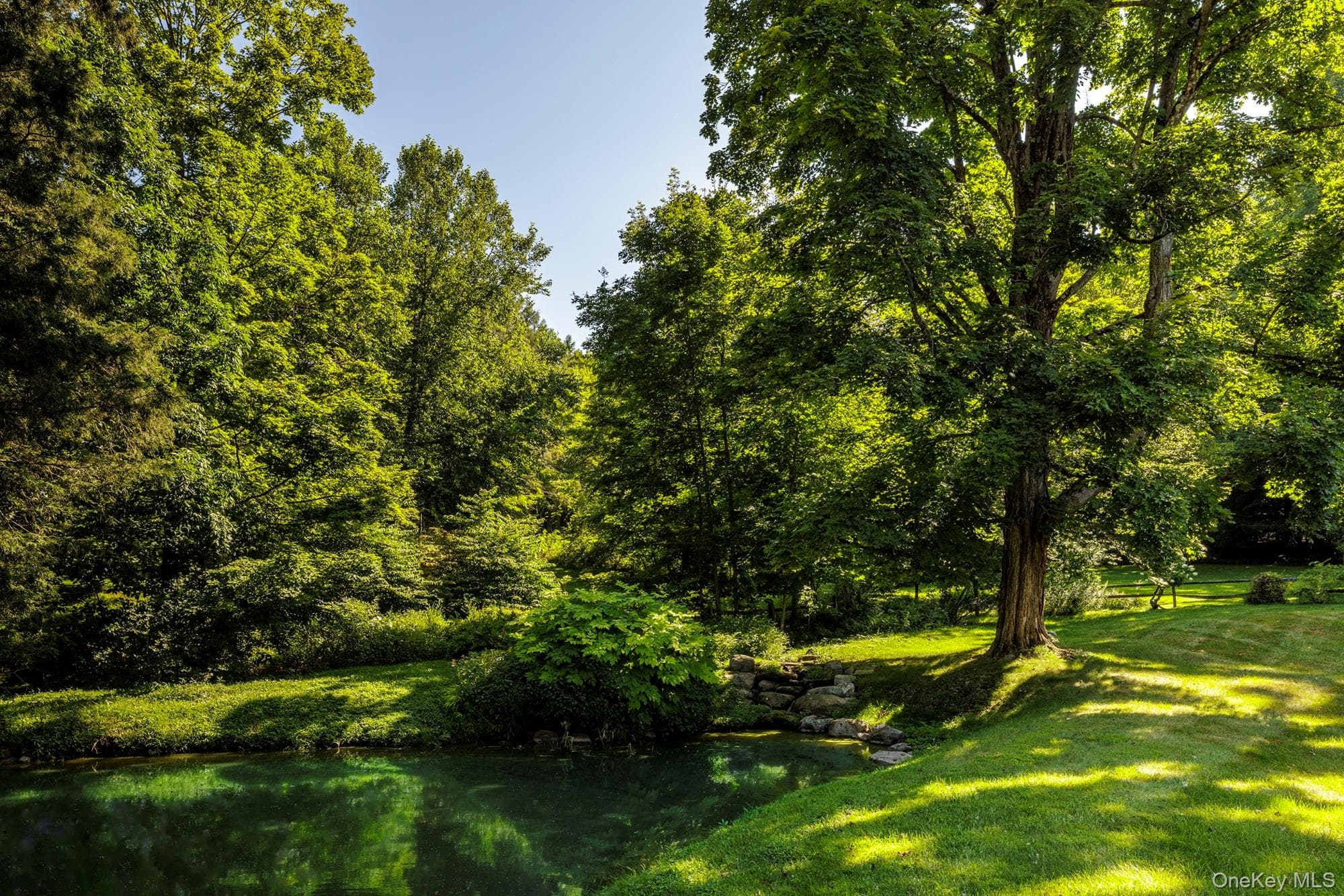 Pond