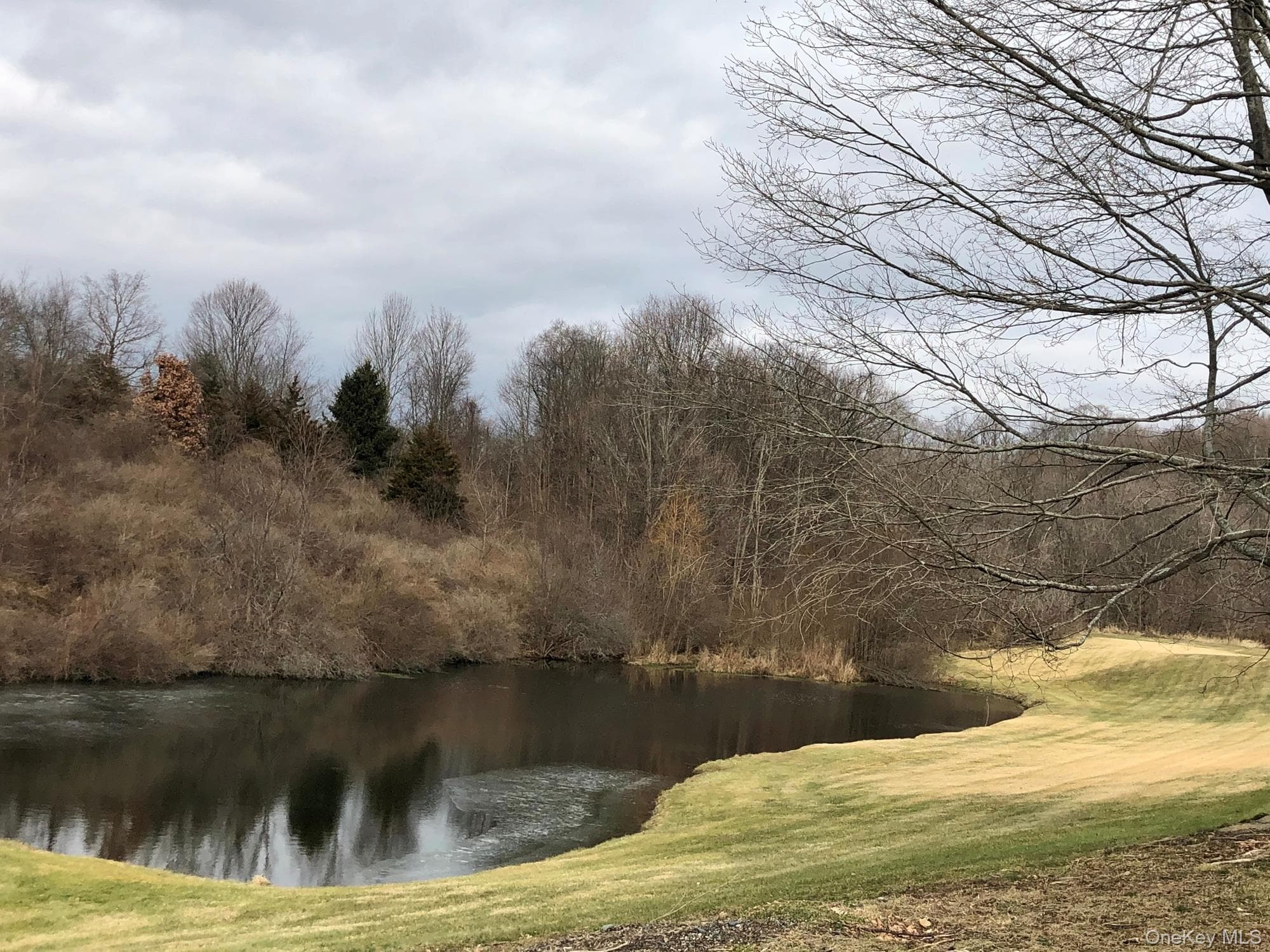 Pond