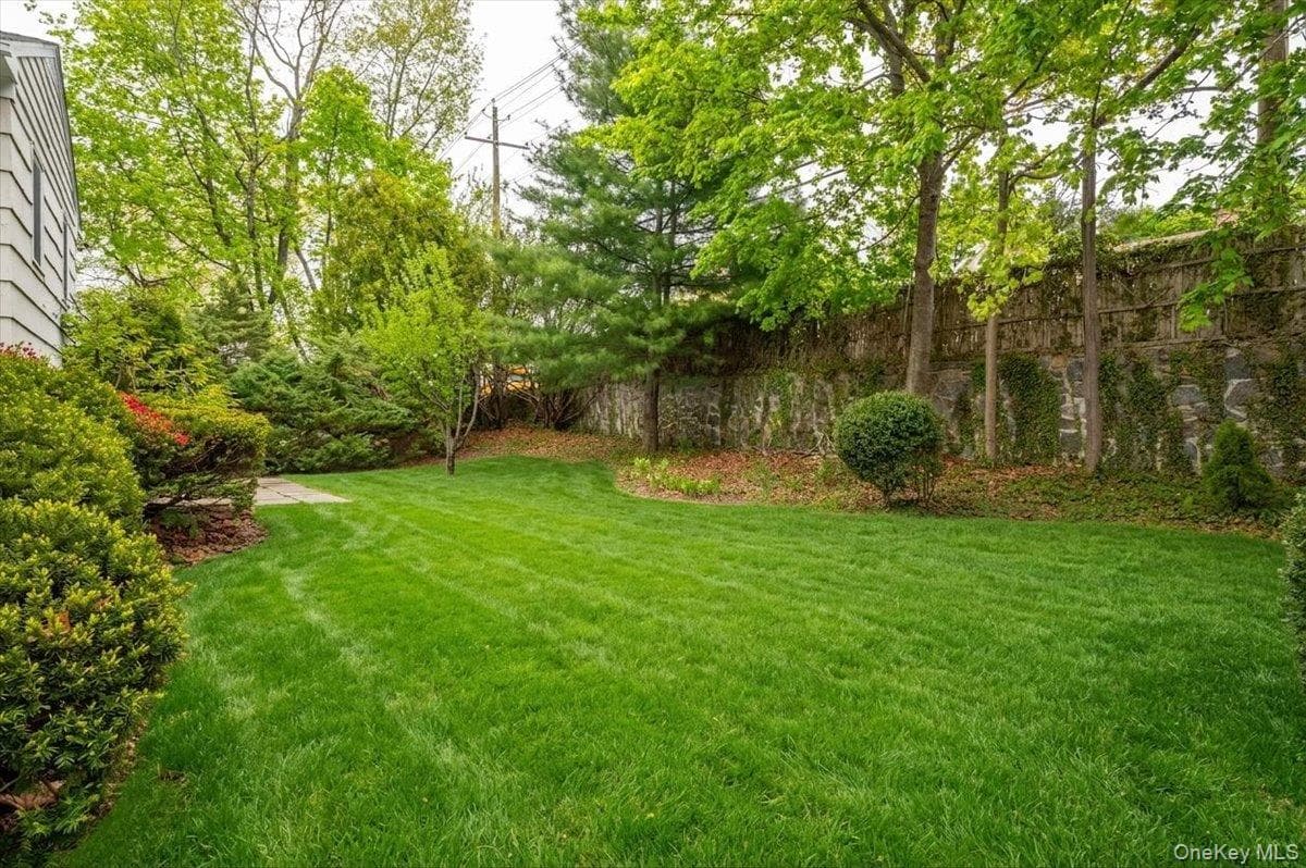 Yard
