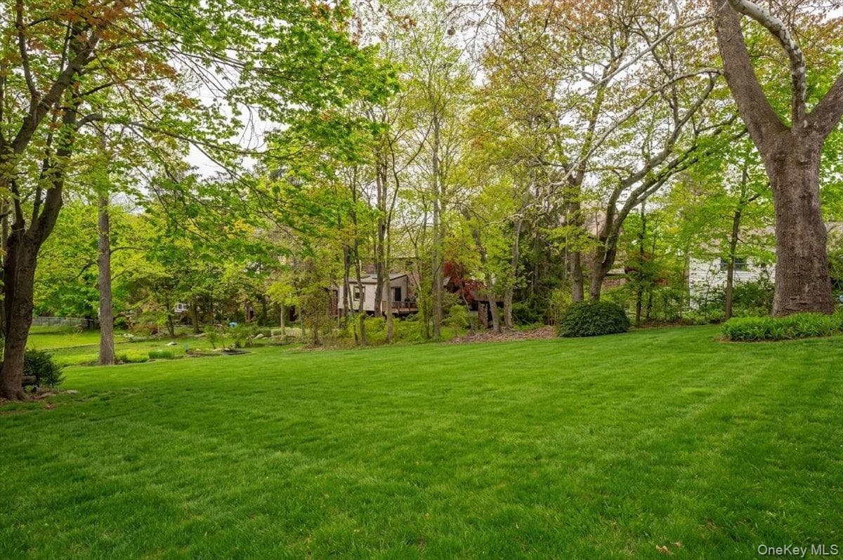 Yard