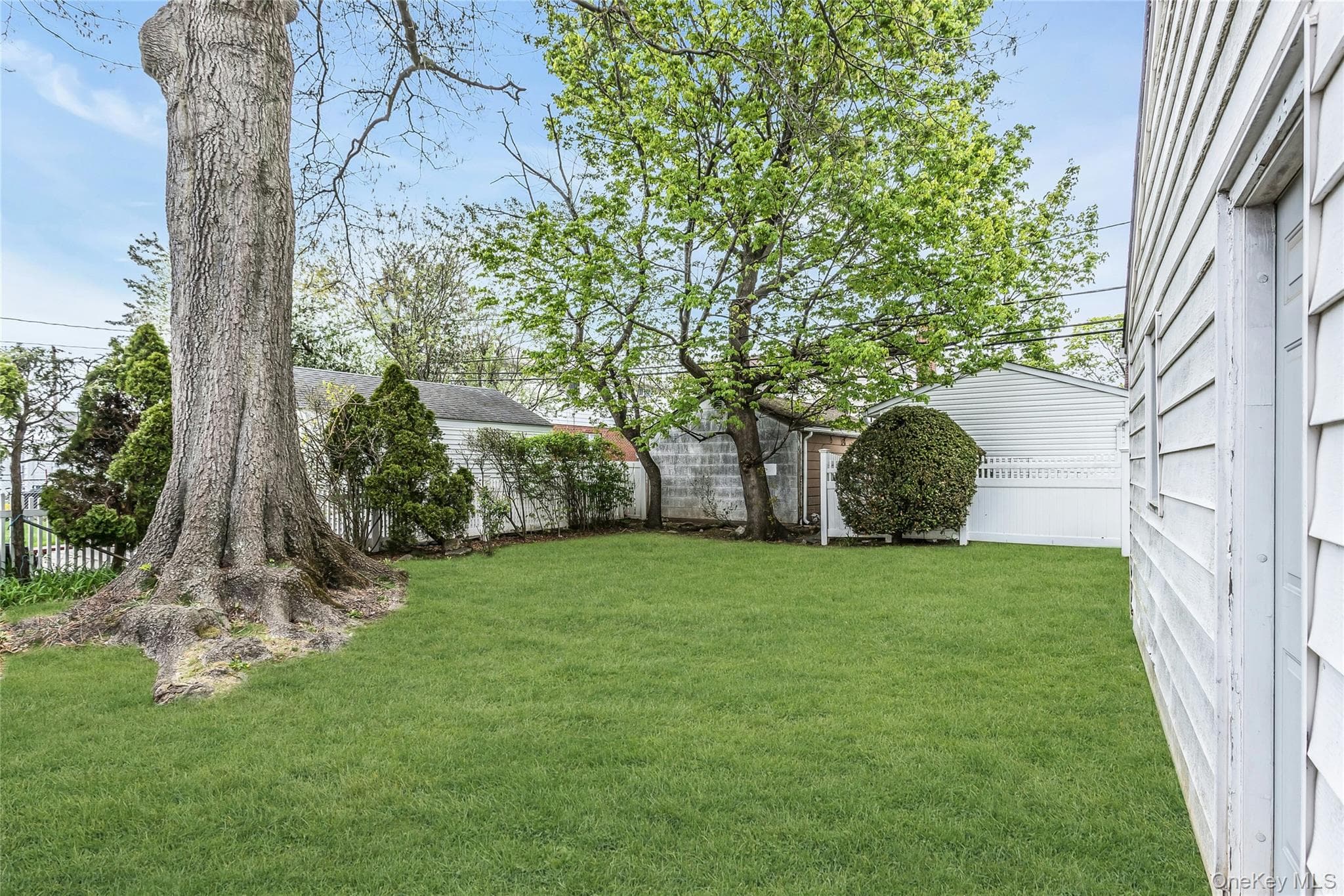 Yard