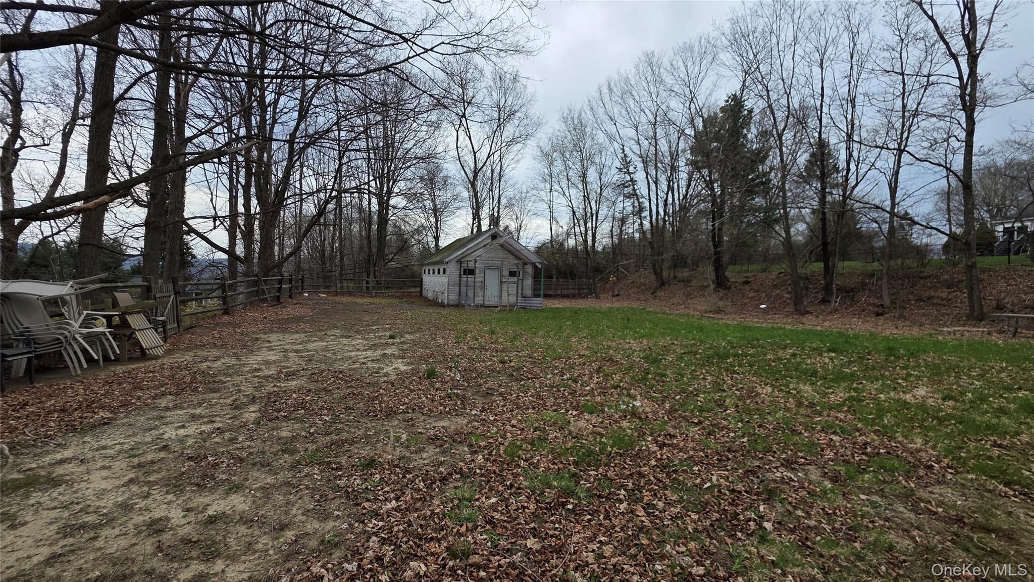Photo 25