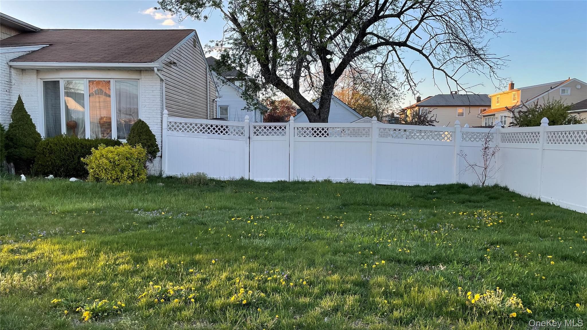 Yard