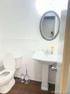 Photo 27