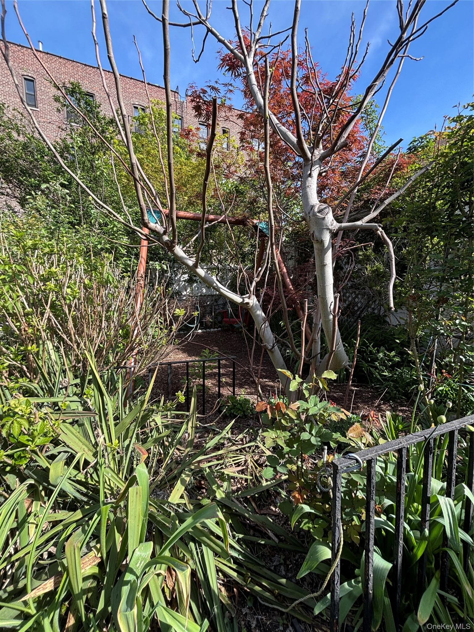 Photo 19