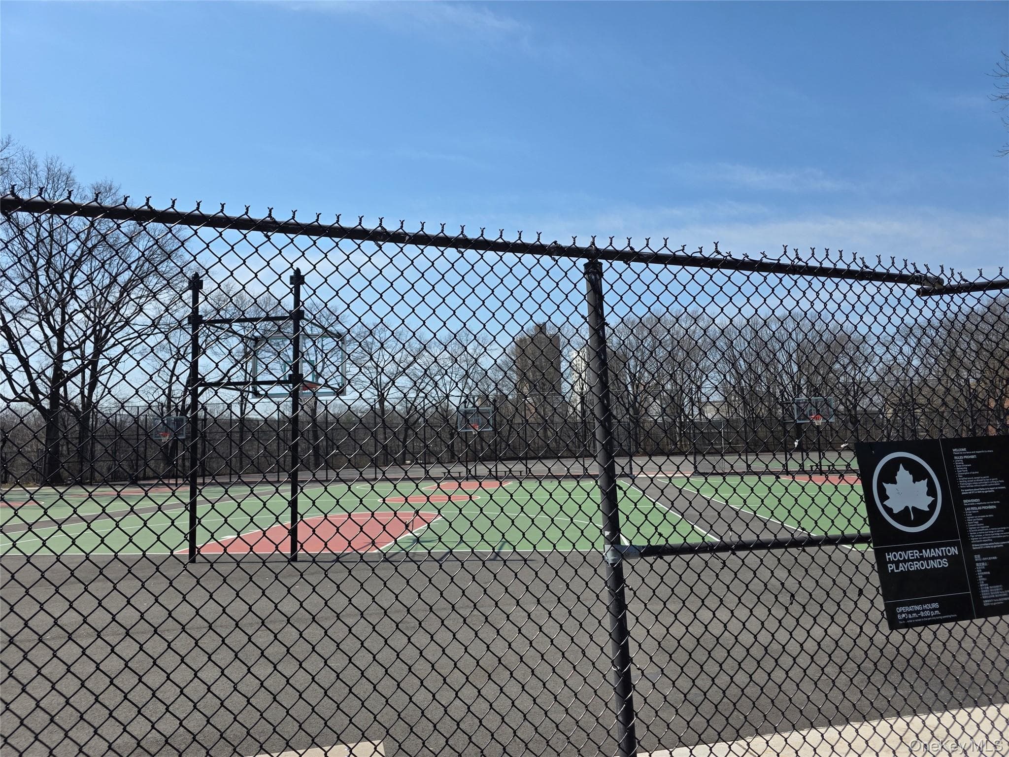 Basketball Court