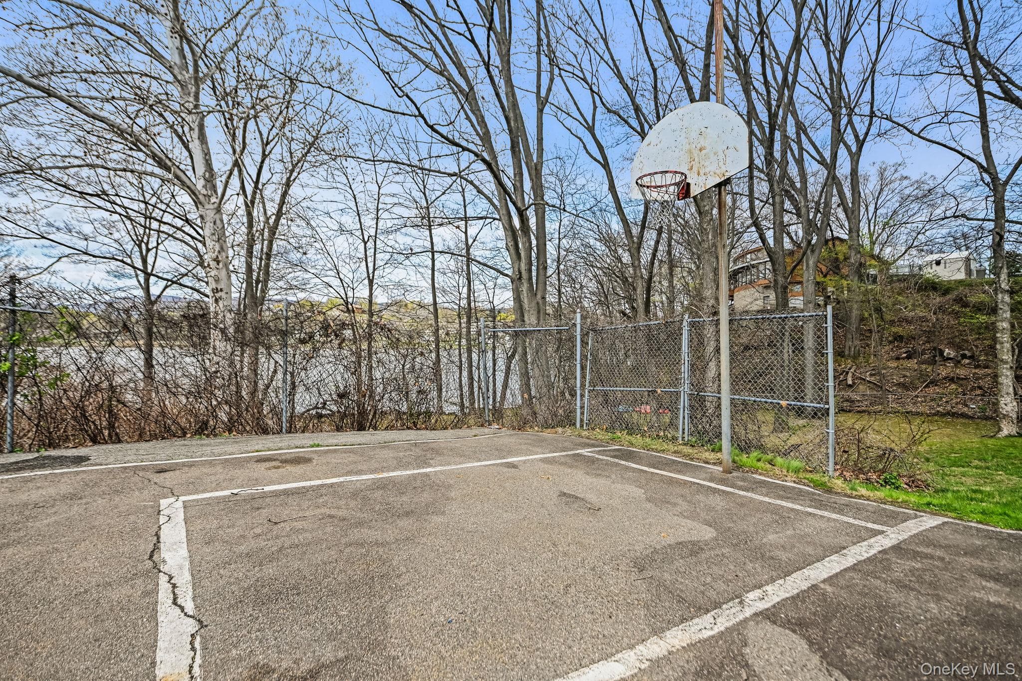 Basketball Court