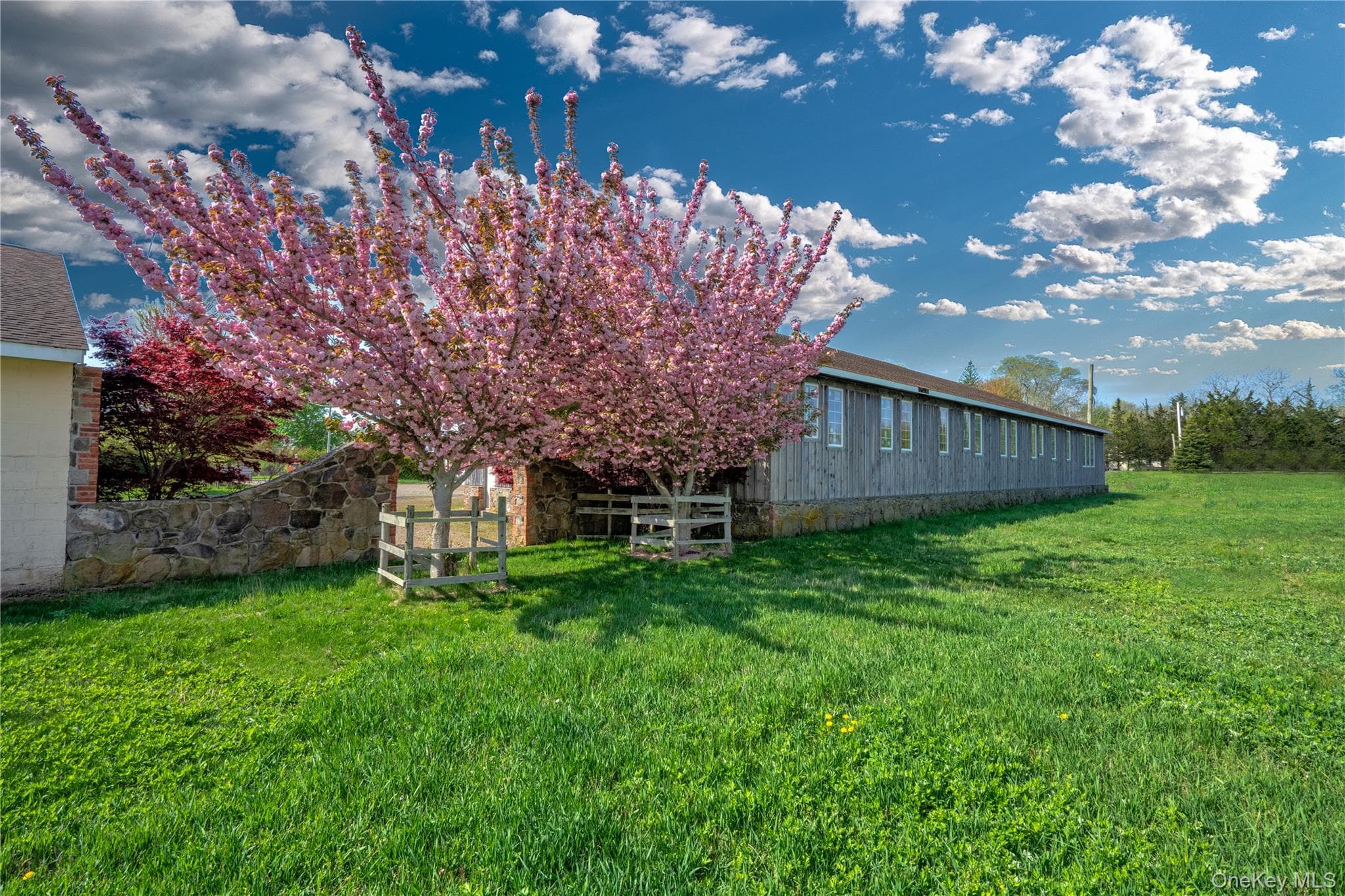 Yard