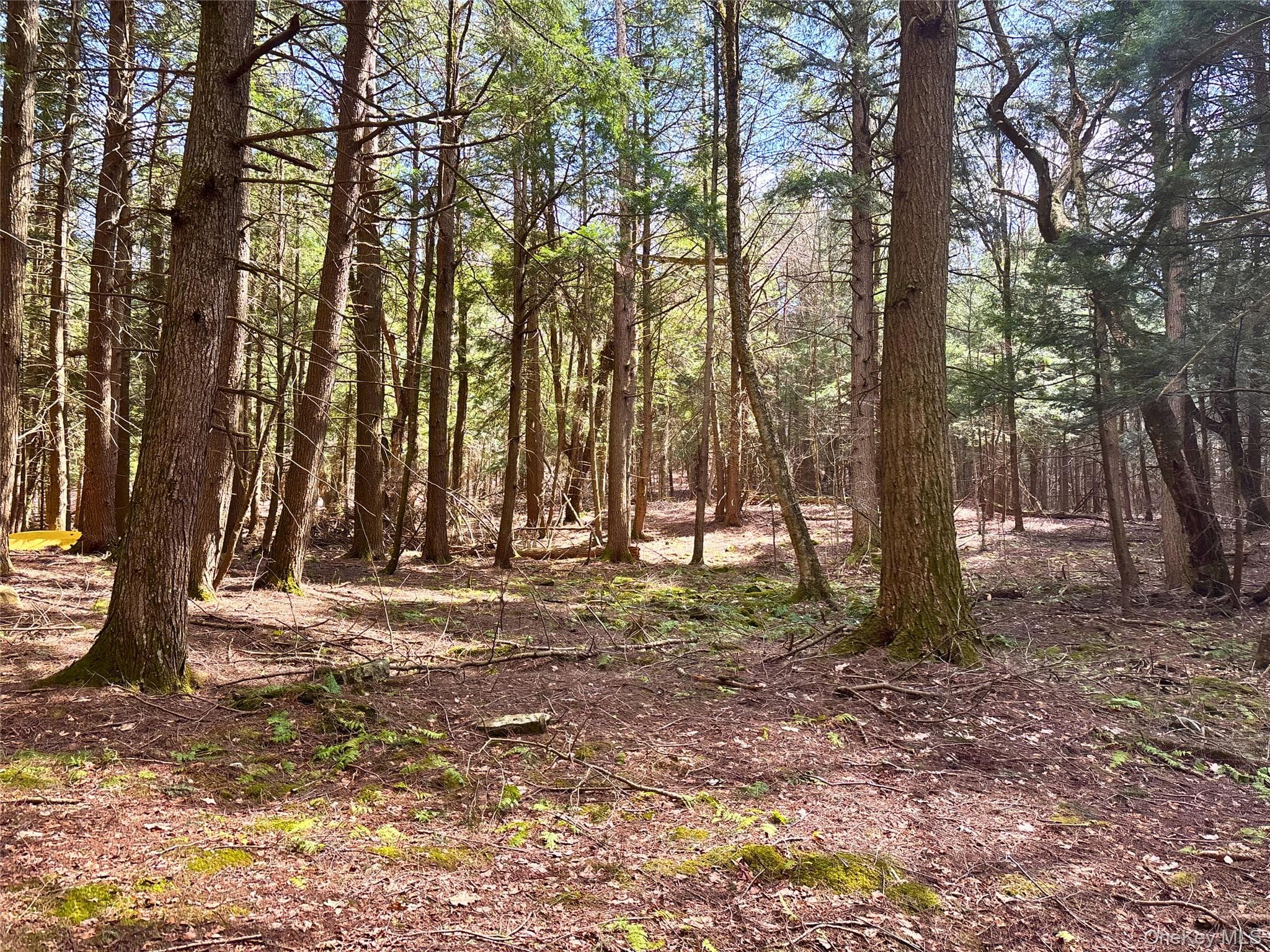 Photo 25