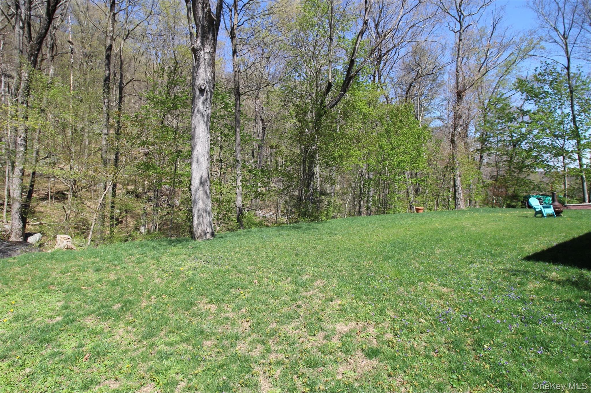 Photo 27