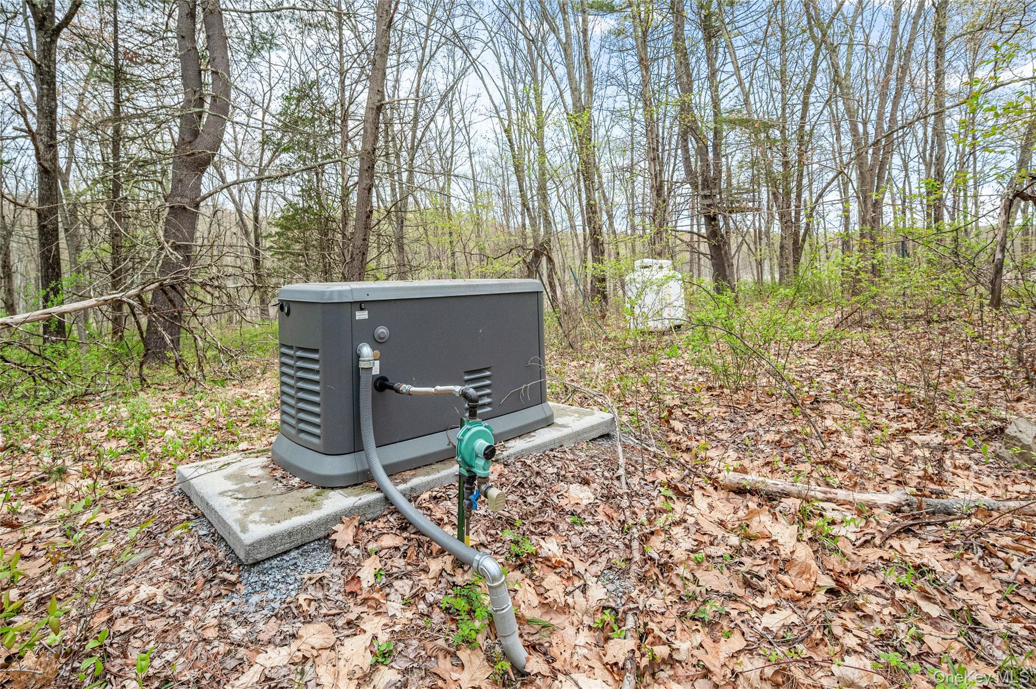 Photo 45