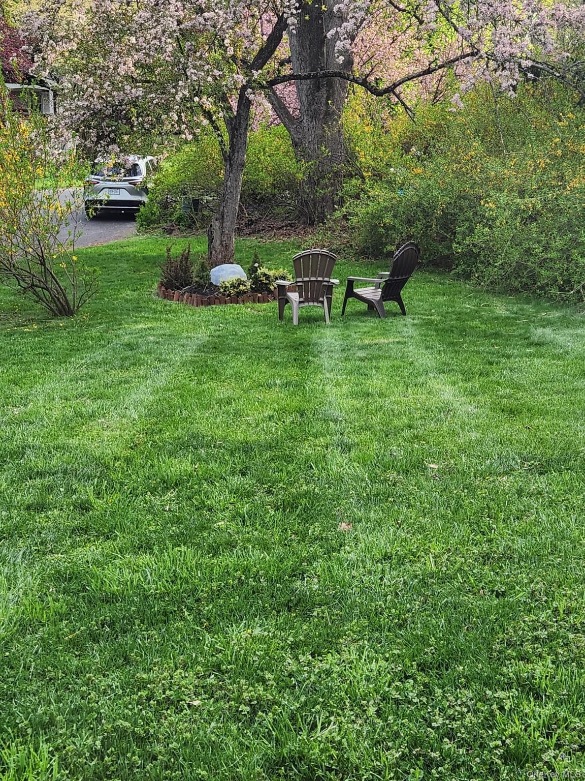 Yard