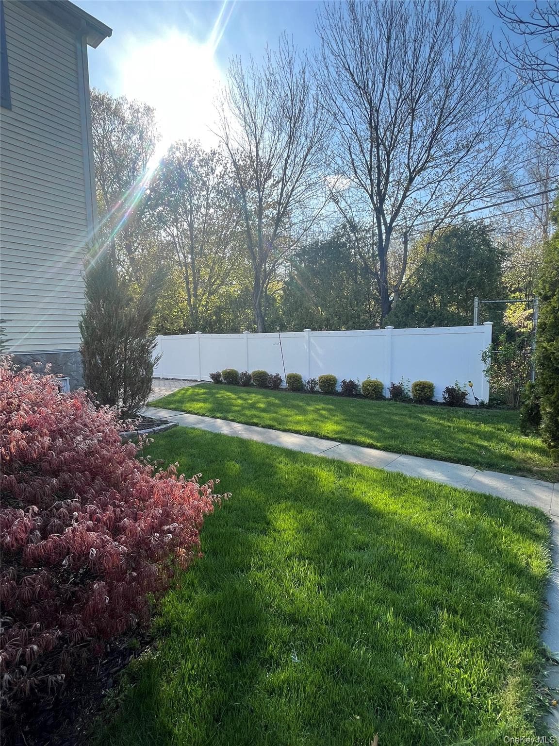 Yard