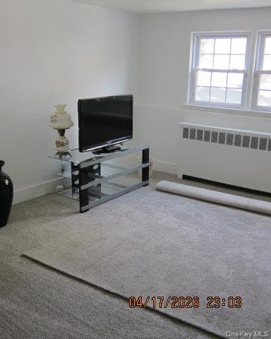 Photo 26