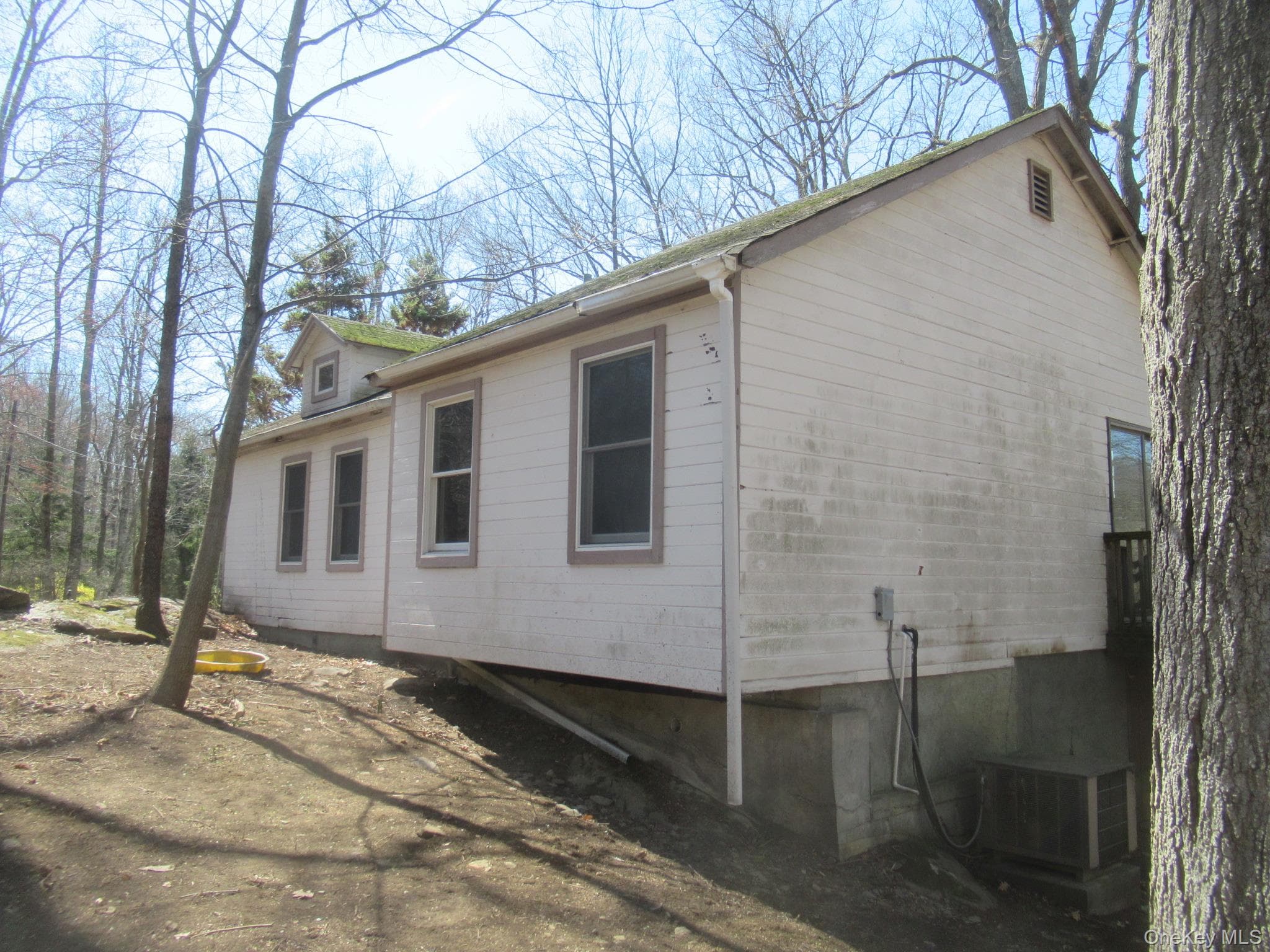 Back of Structure