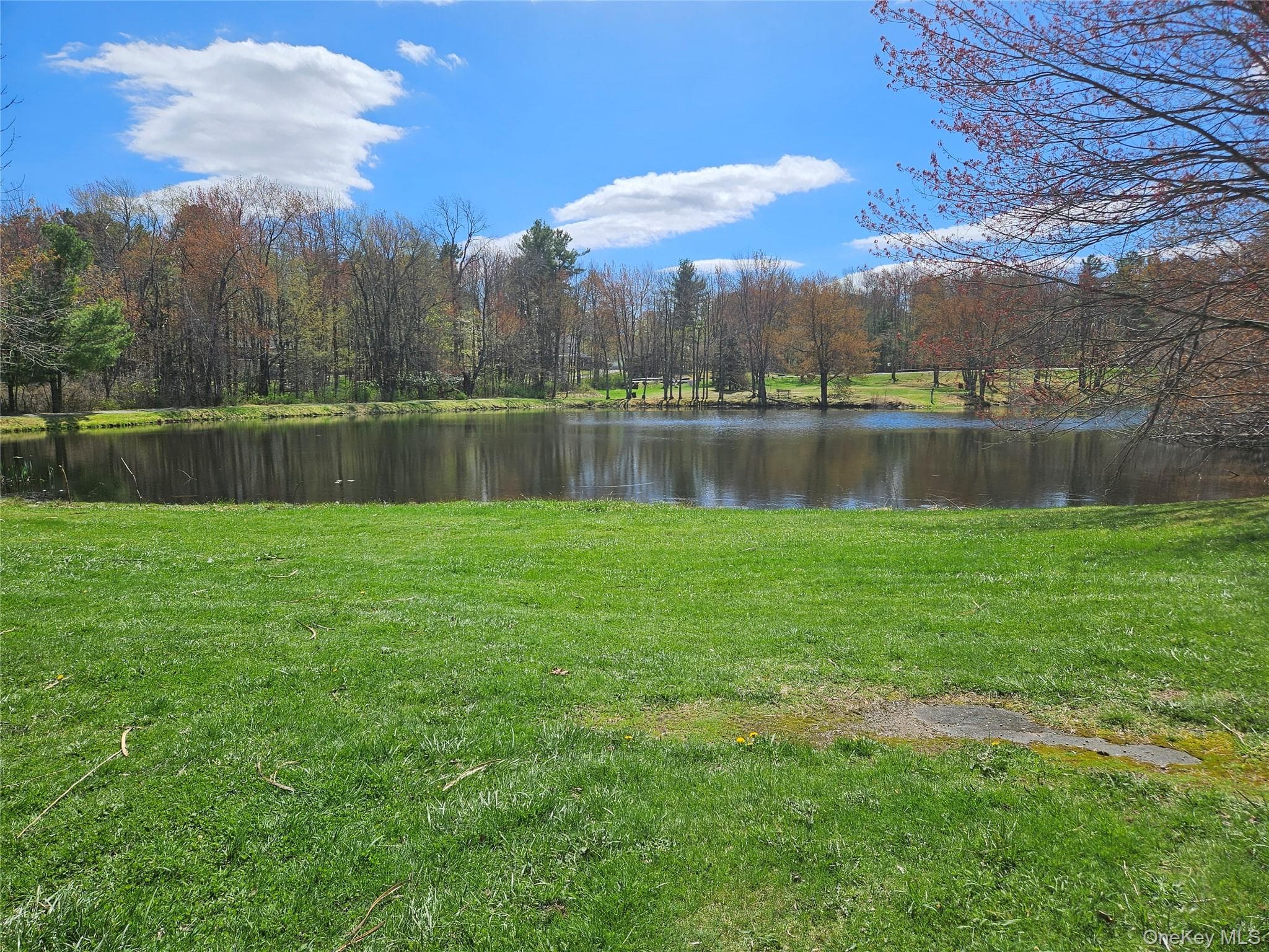 Pond