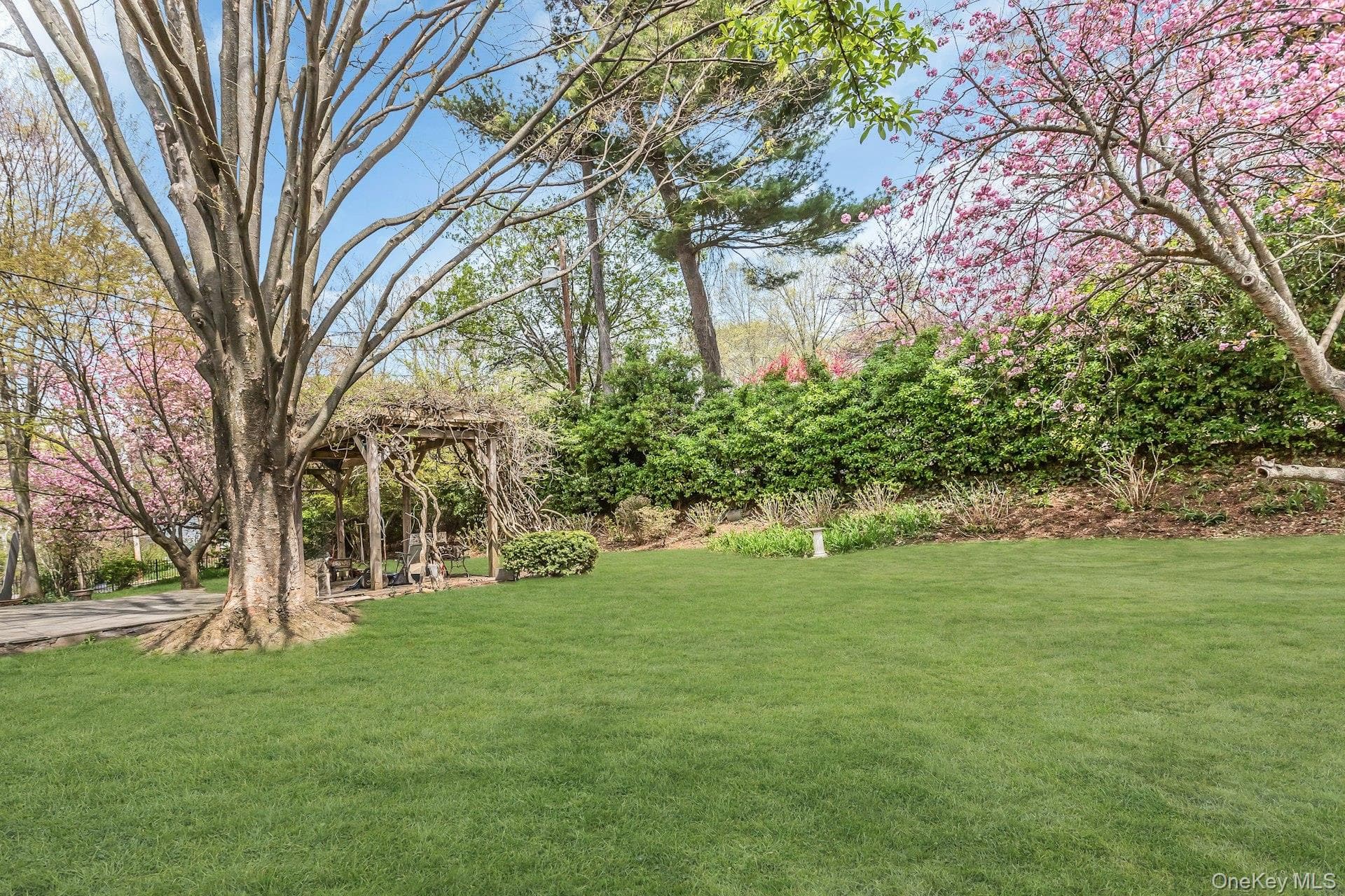Yard