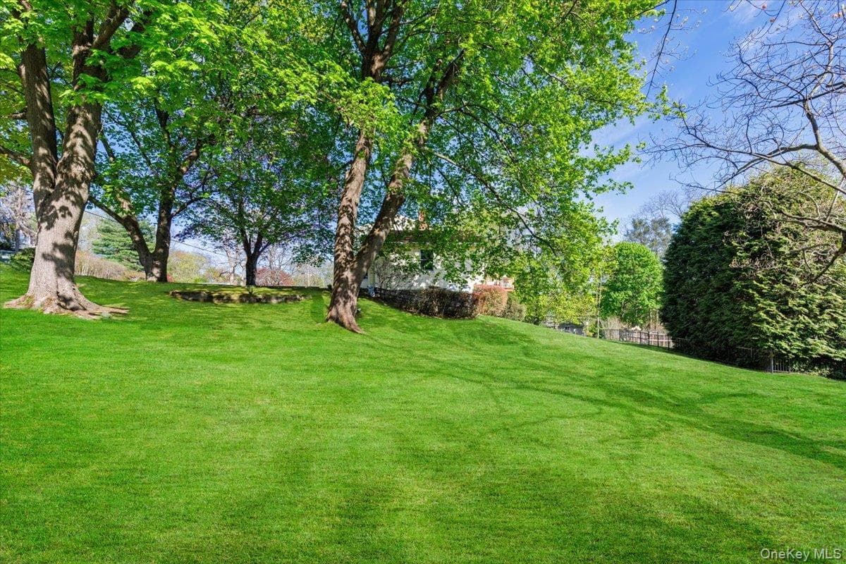 Yard