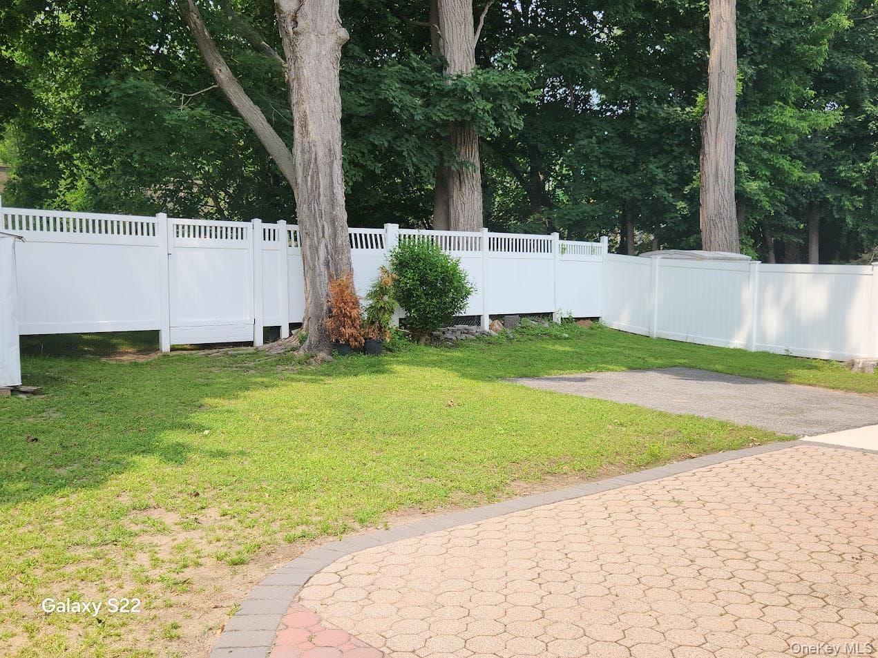 Yard