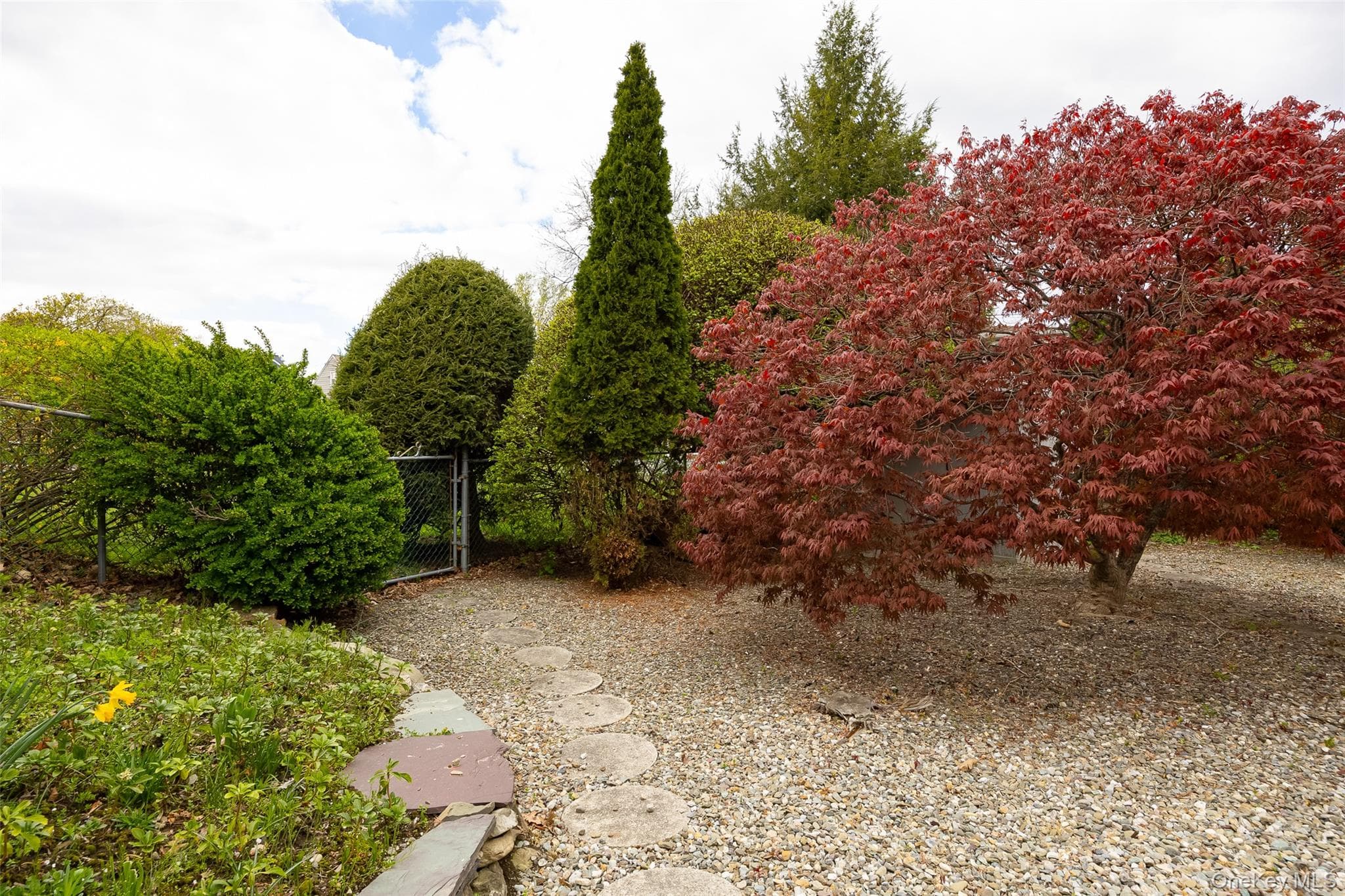 Yard