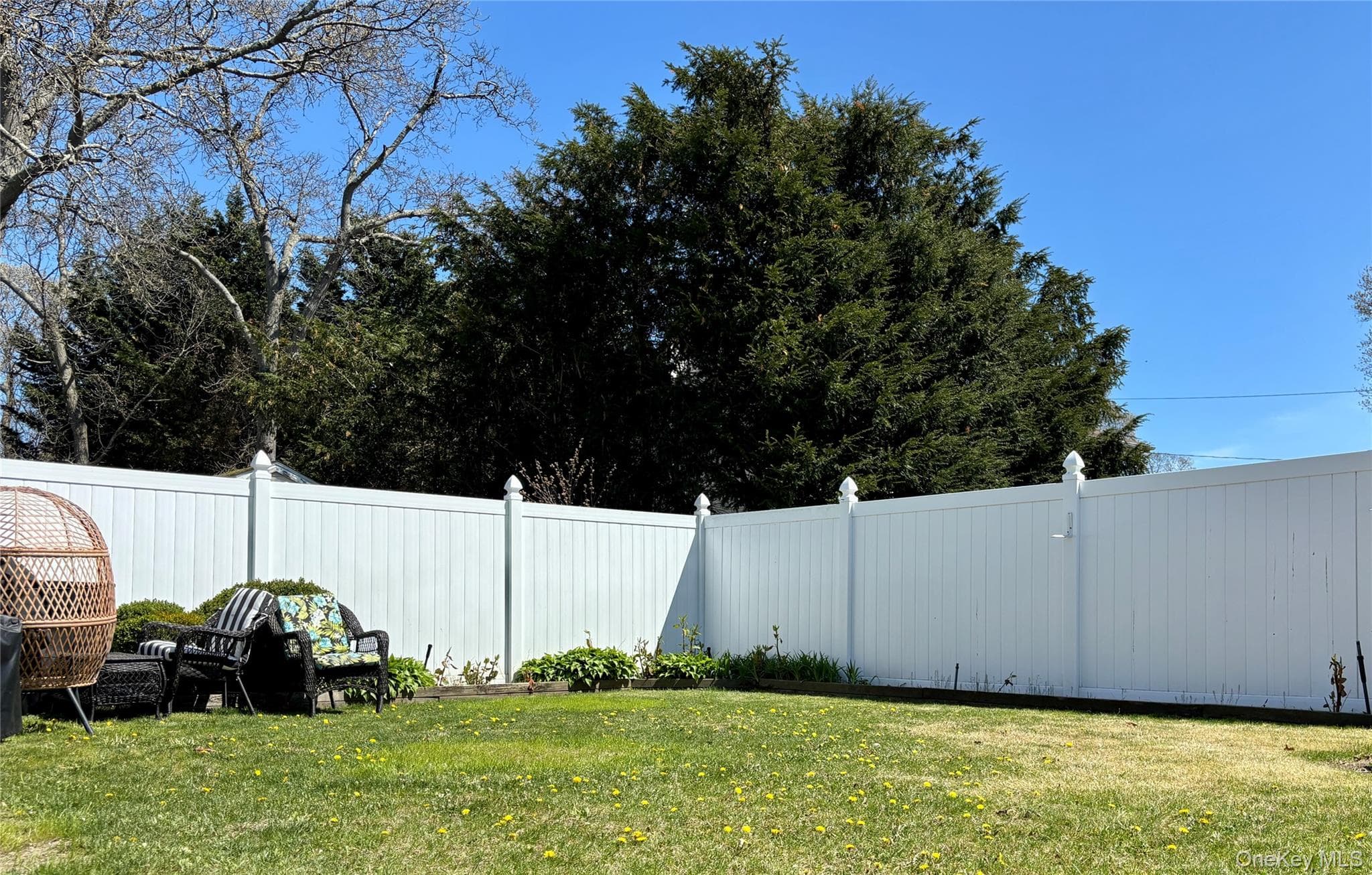 Yard
