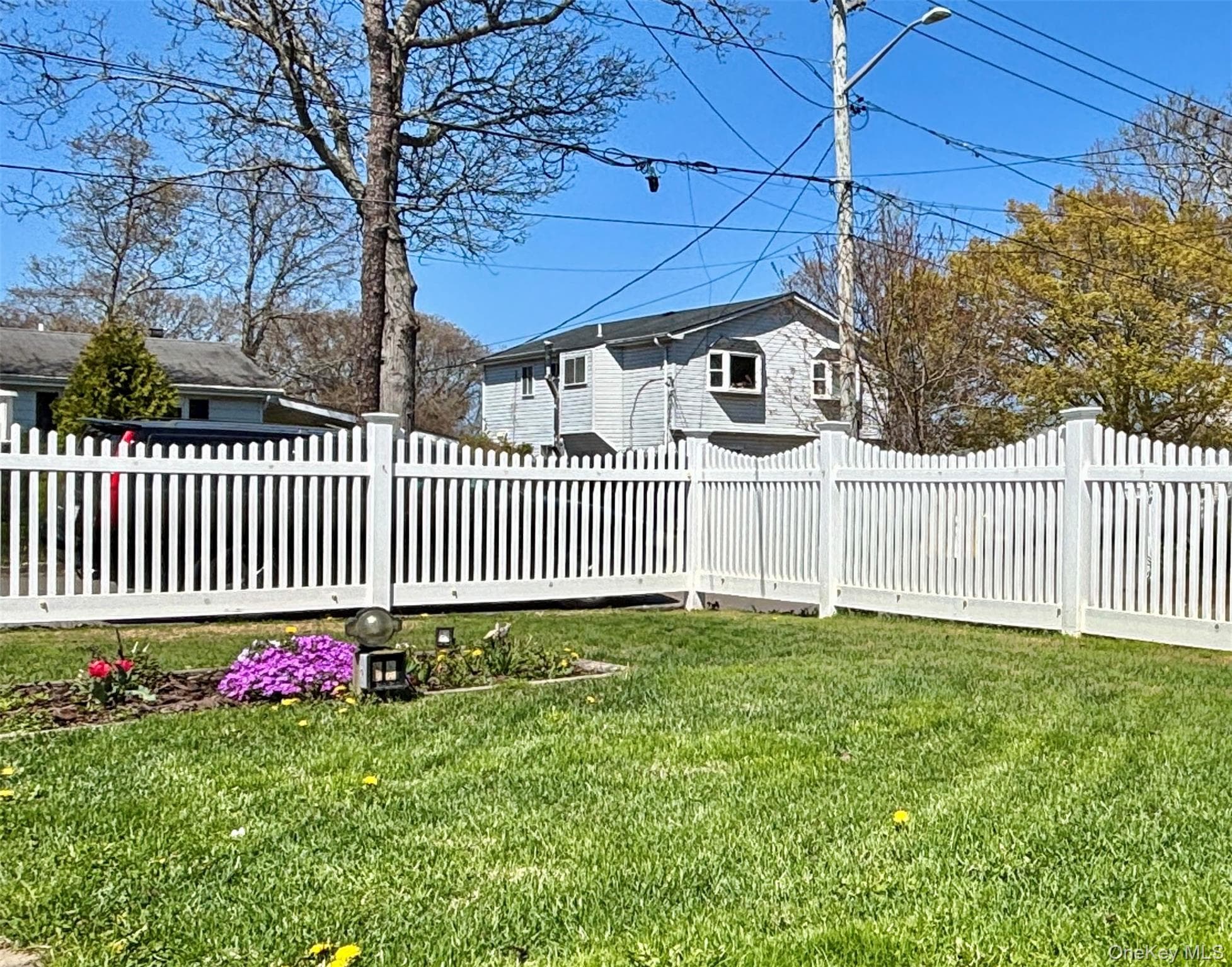 Yard