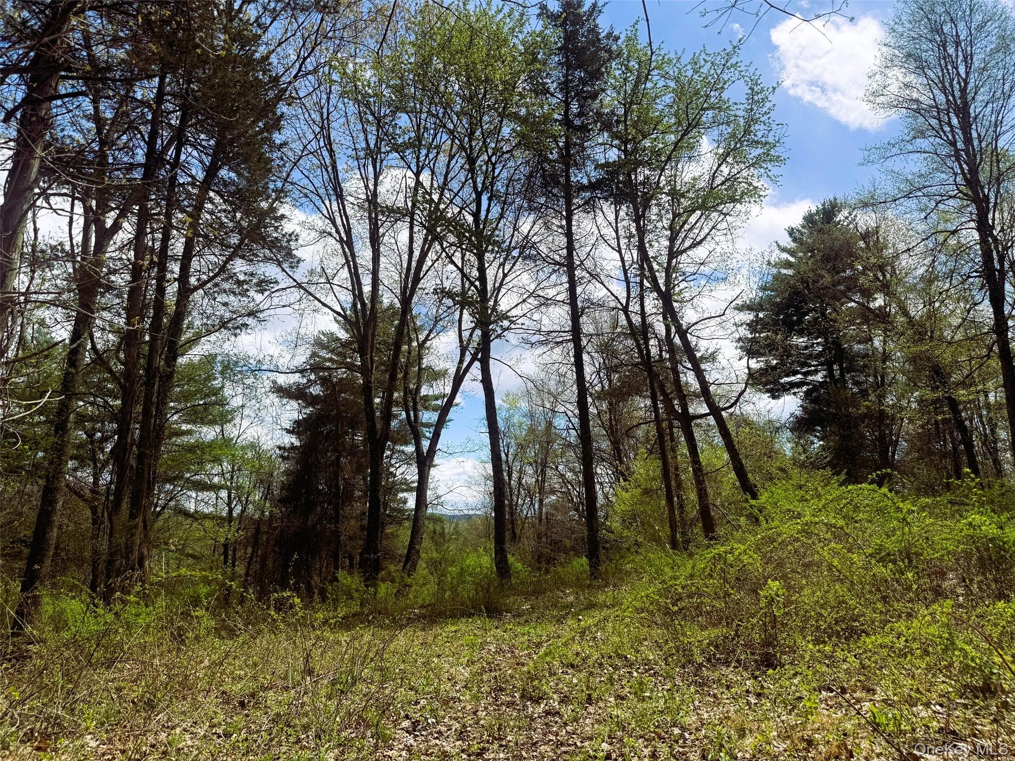 View