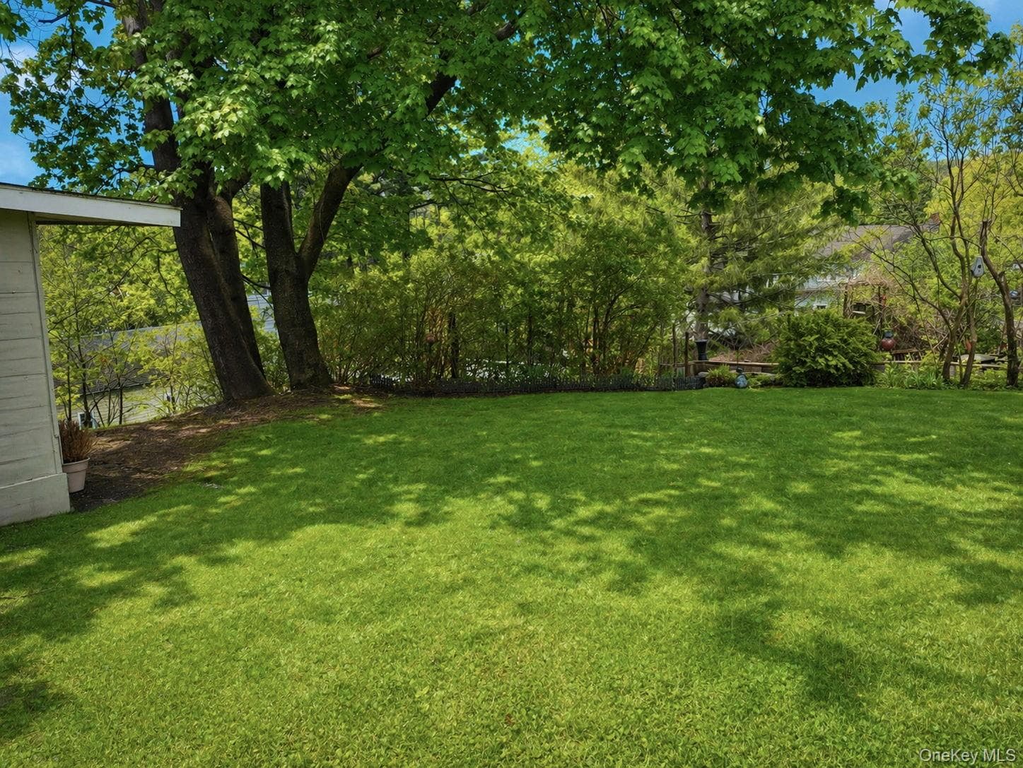 Yard