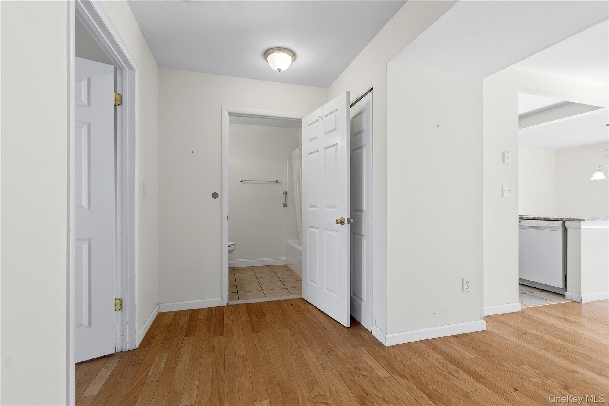 Entrance Foyer
