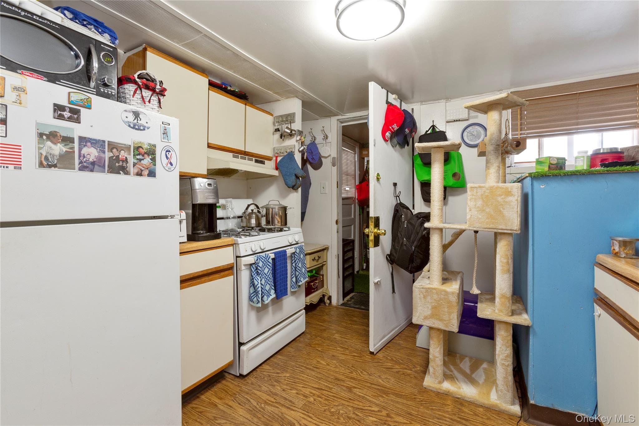 Photo 23