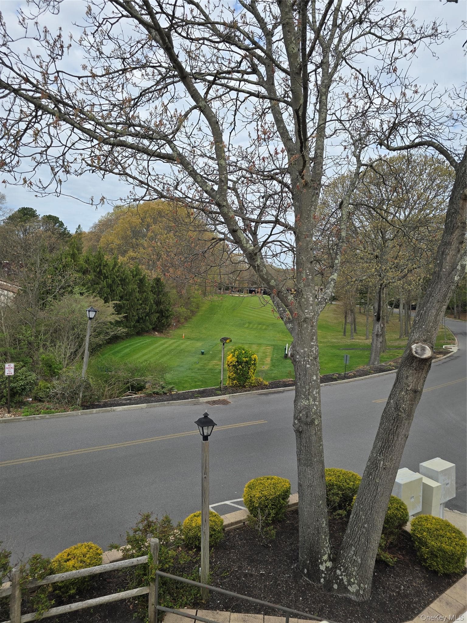 View