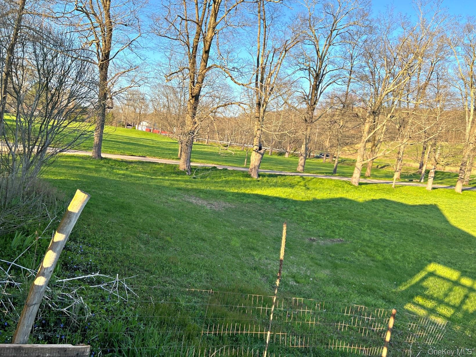 Yard