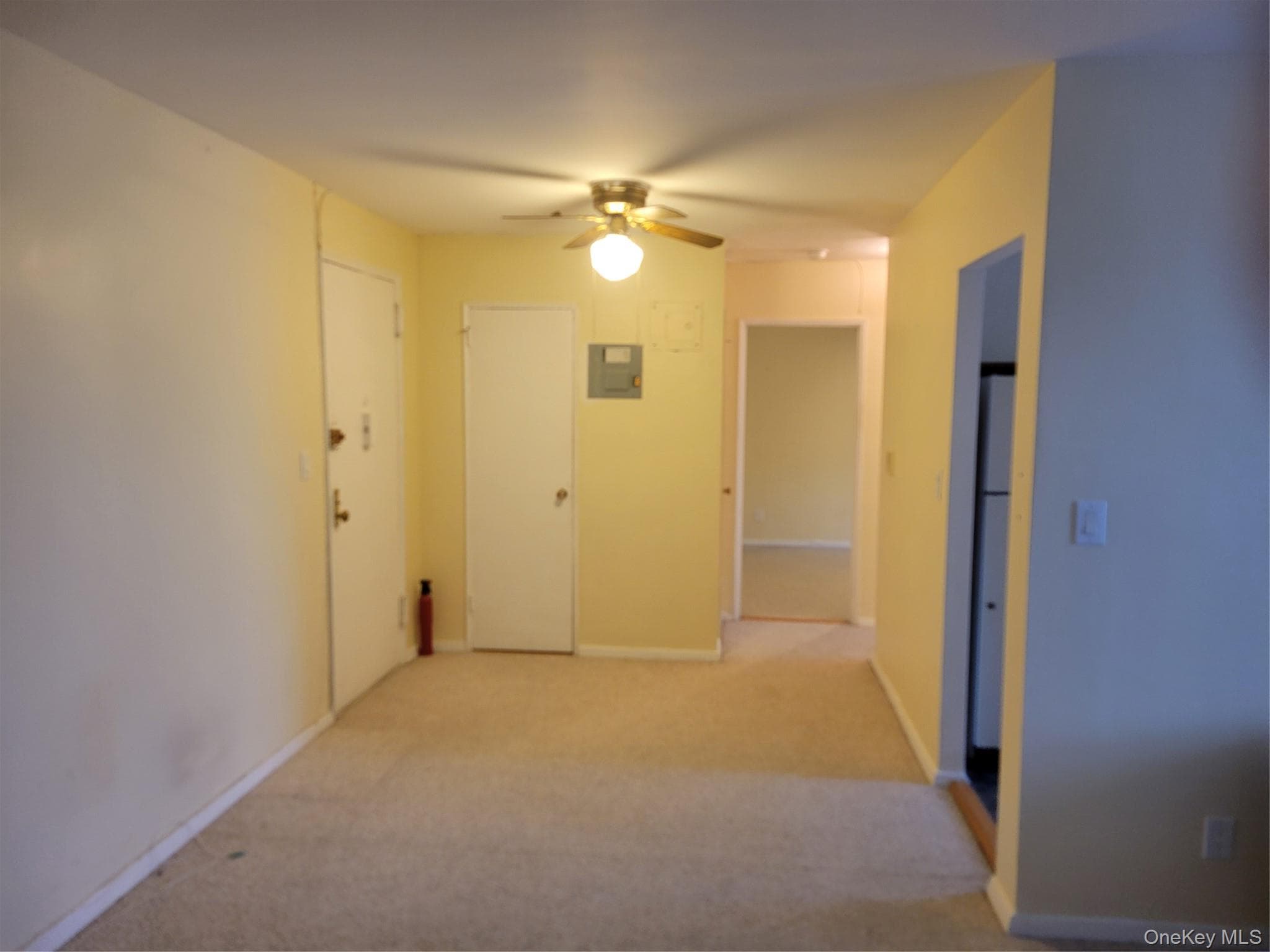 Entrance Foyer