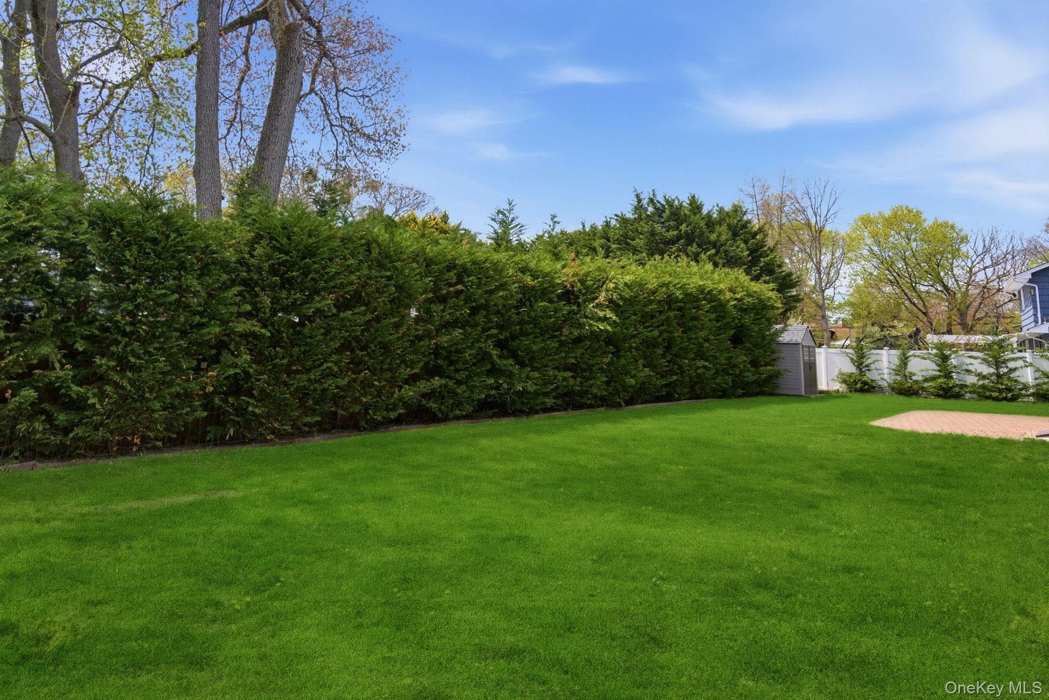 Yard