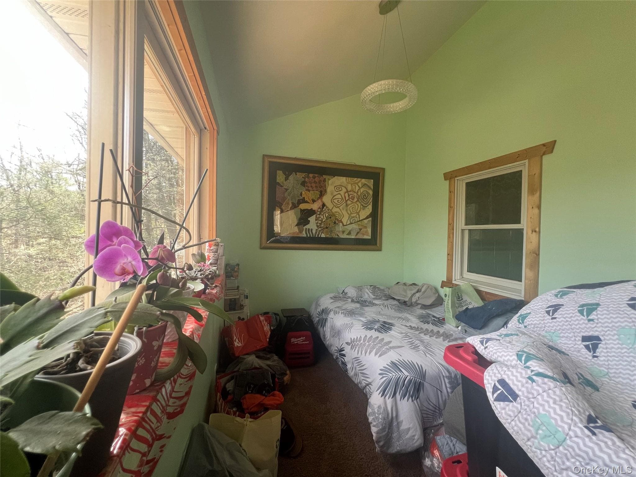 Bonus Room