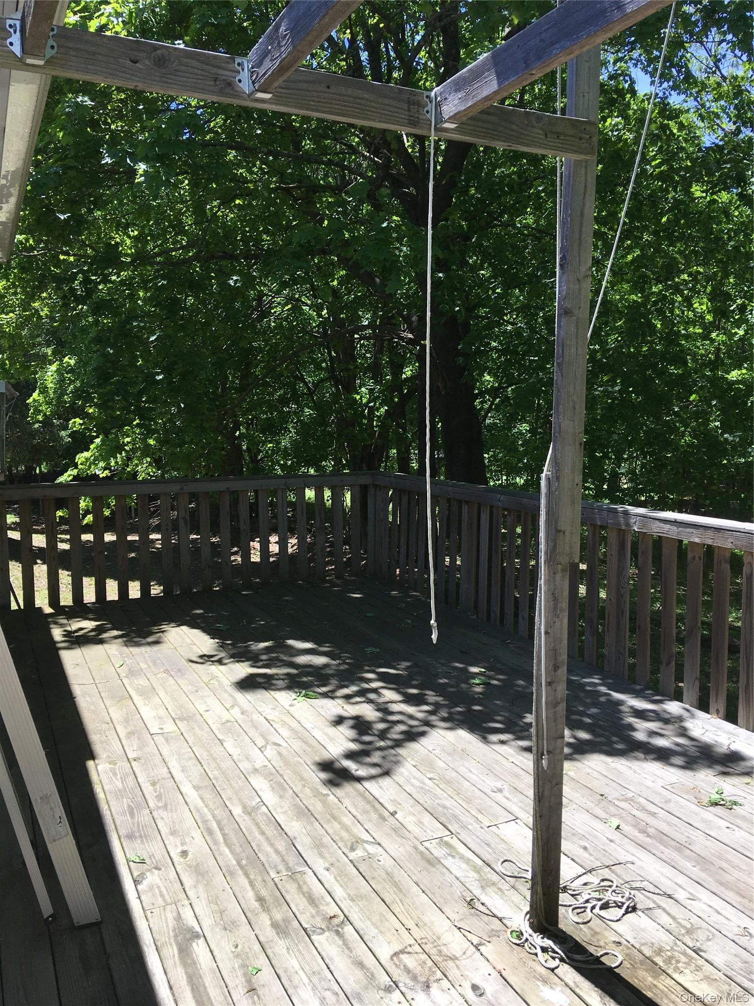 Deck