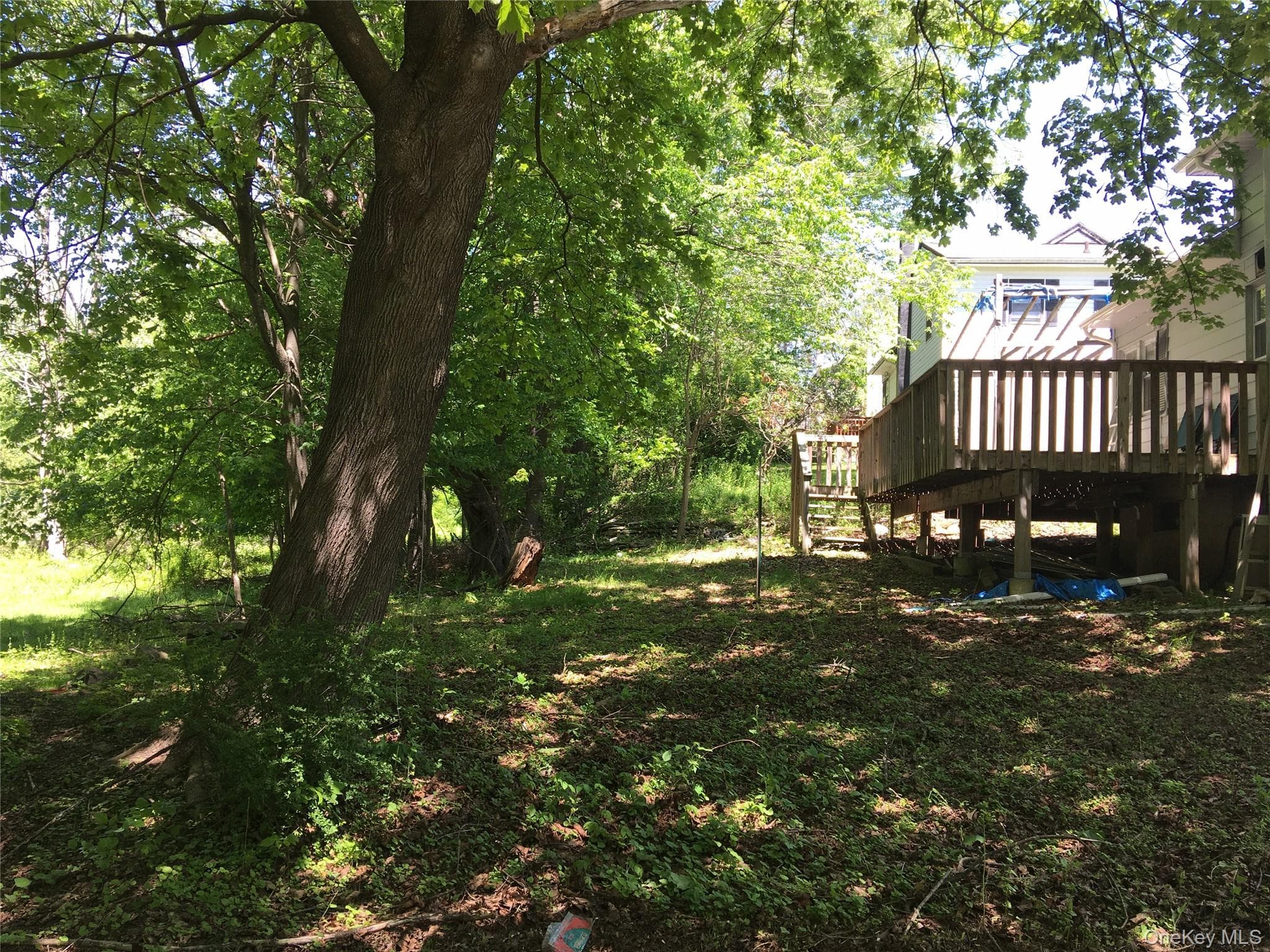 Yard