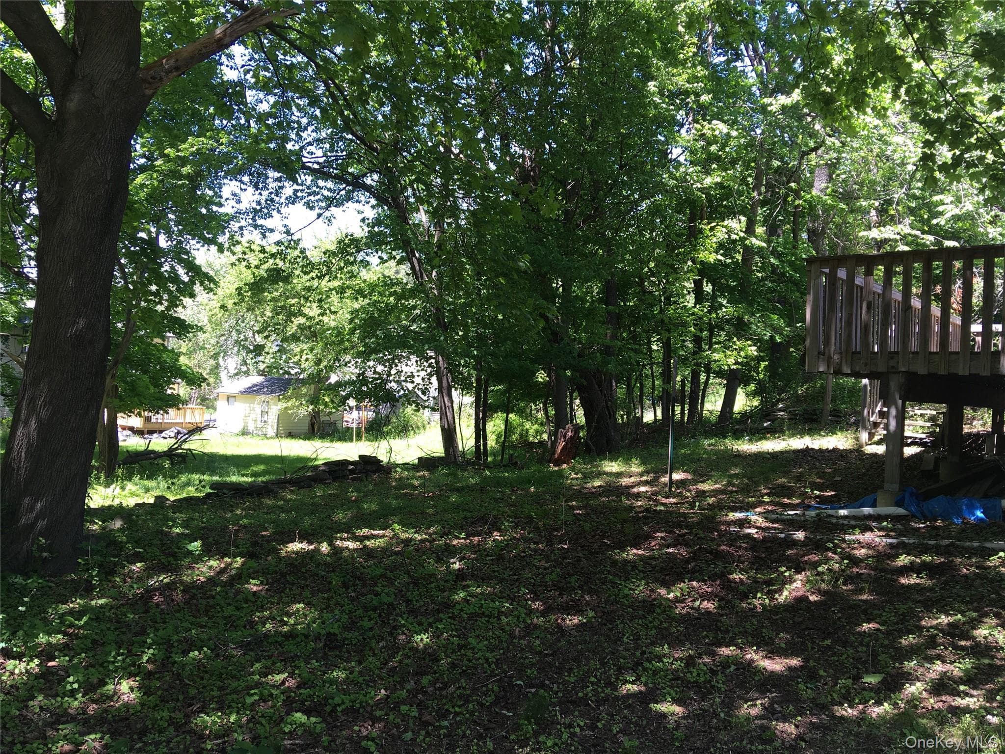 Yard