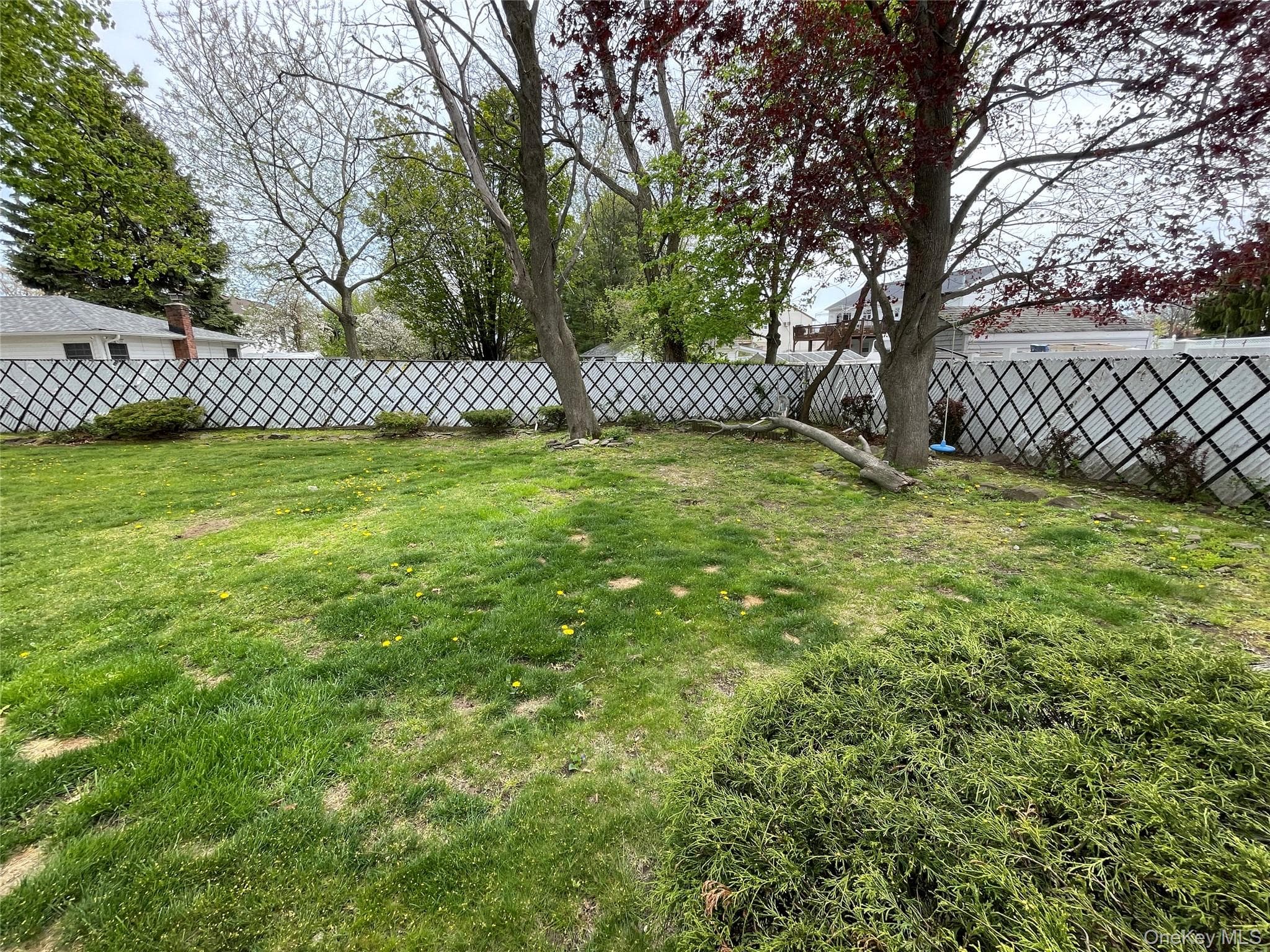 Photo 32
