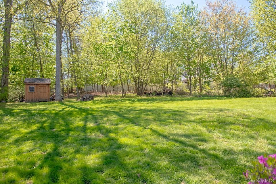 Yard