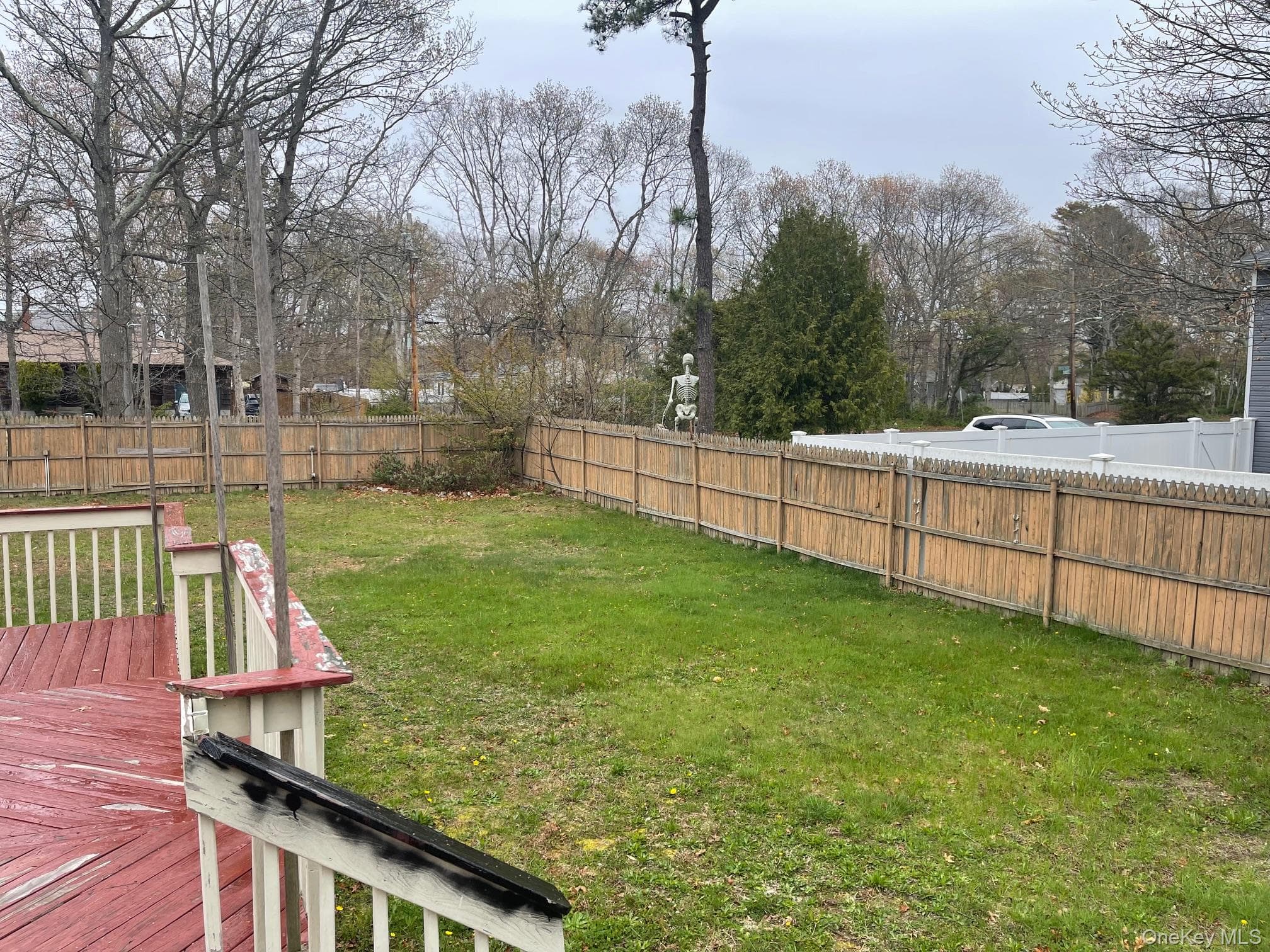 Yard