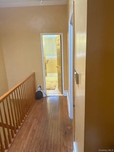 Entrance Foyer