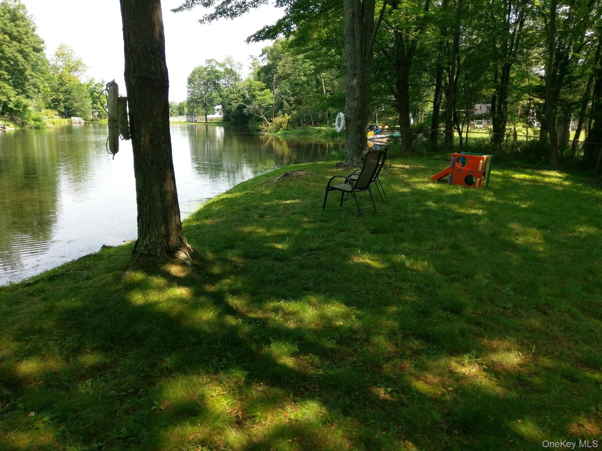 Photo 42