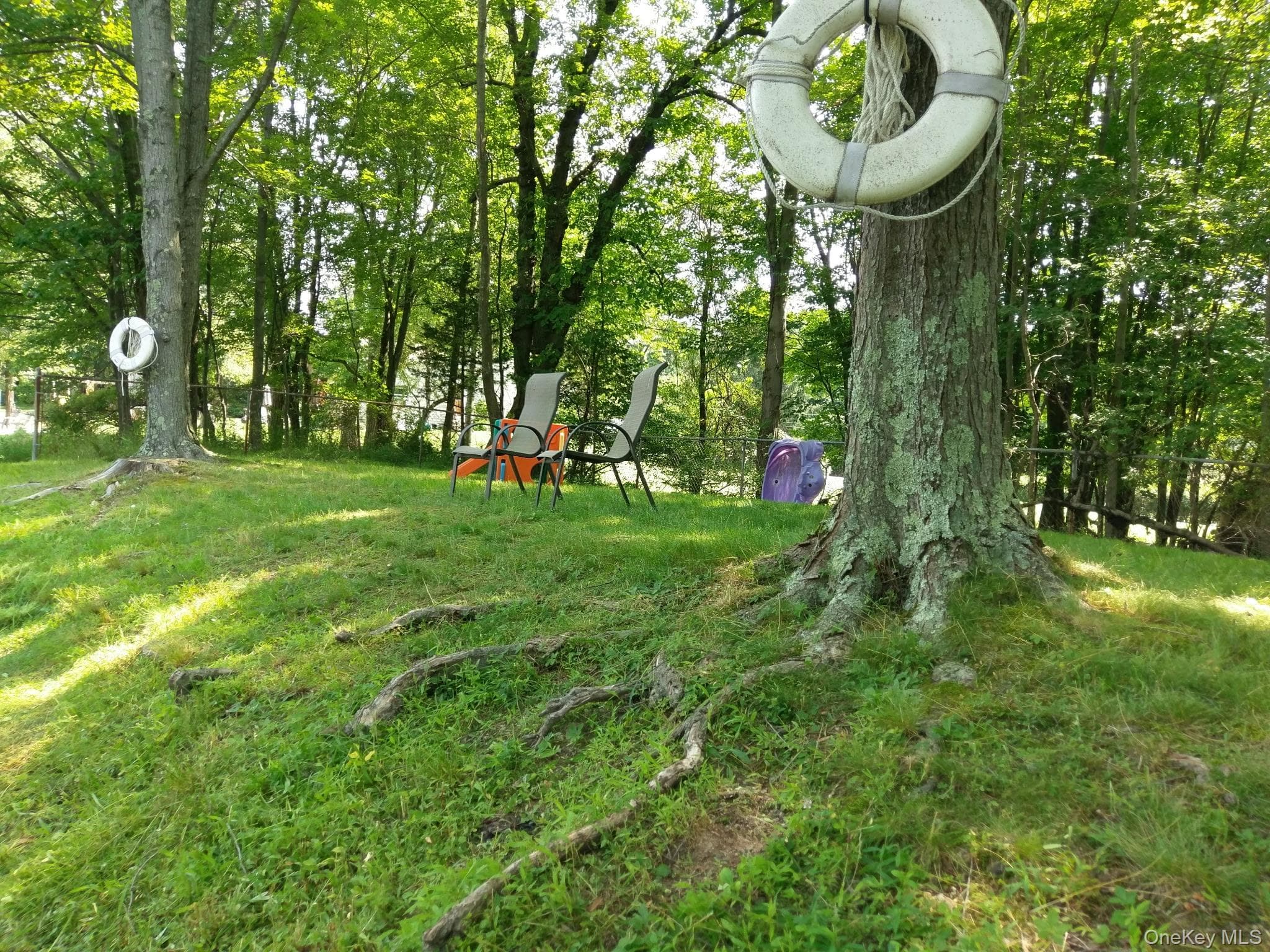 Photo 46