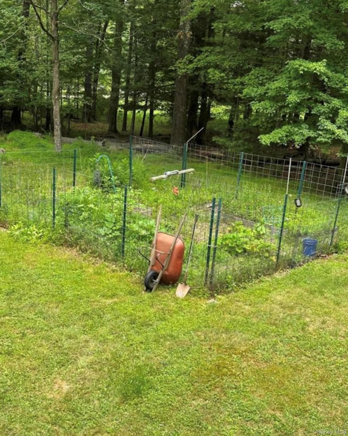 Photo 16