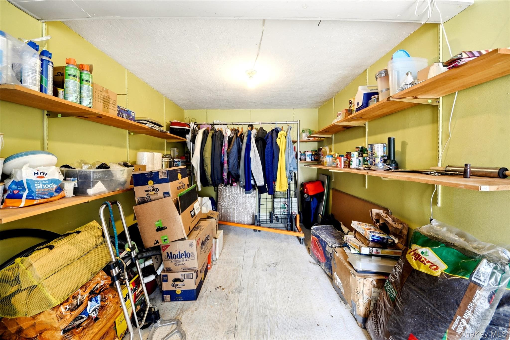 Basement